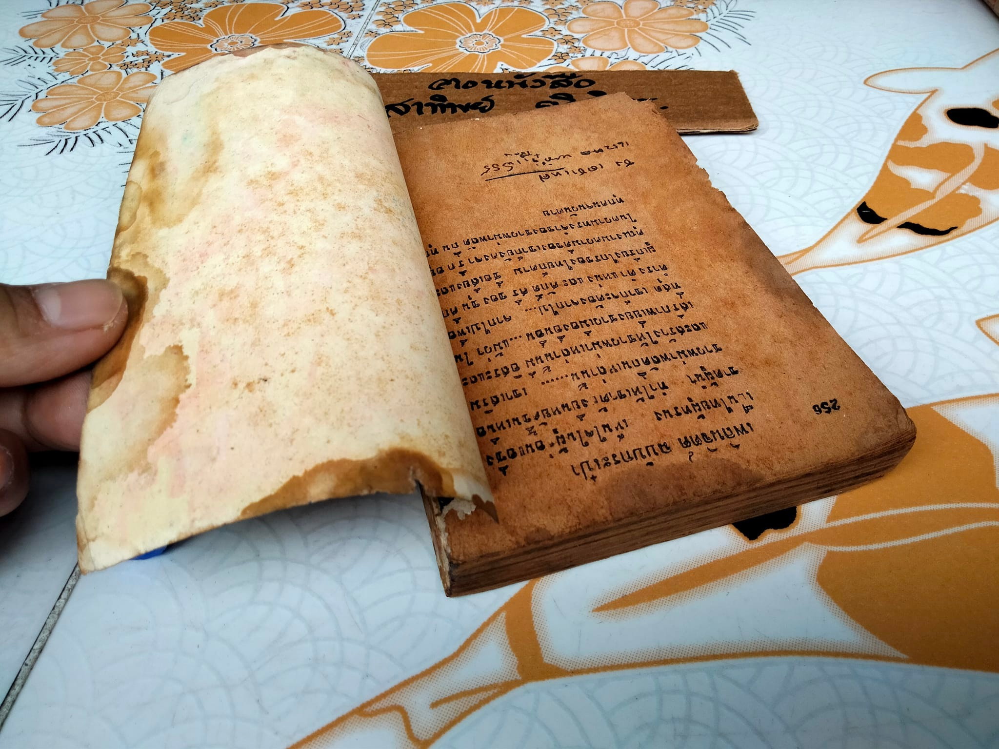 ชาตาชีวิต - เพลินพิศ เลิศยานันท์ , เพลินจิตต์ฉบับกระเป๋า ลำดับที่ 49