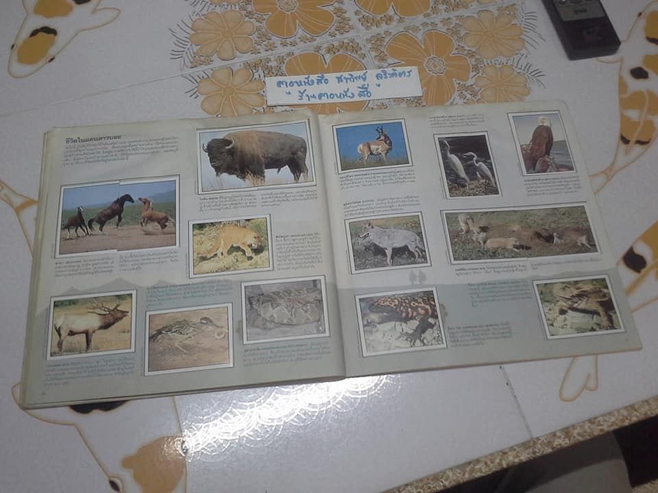 สมุดสะสมสติกเกอร์ ชีวิตสัตว์โลก - แปะครบ (ตัวเล่มมีคราบน้ำ มุมบนมีรอยยับ) **สินค้าหมด**