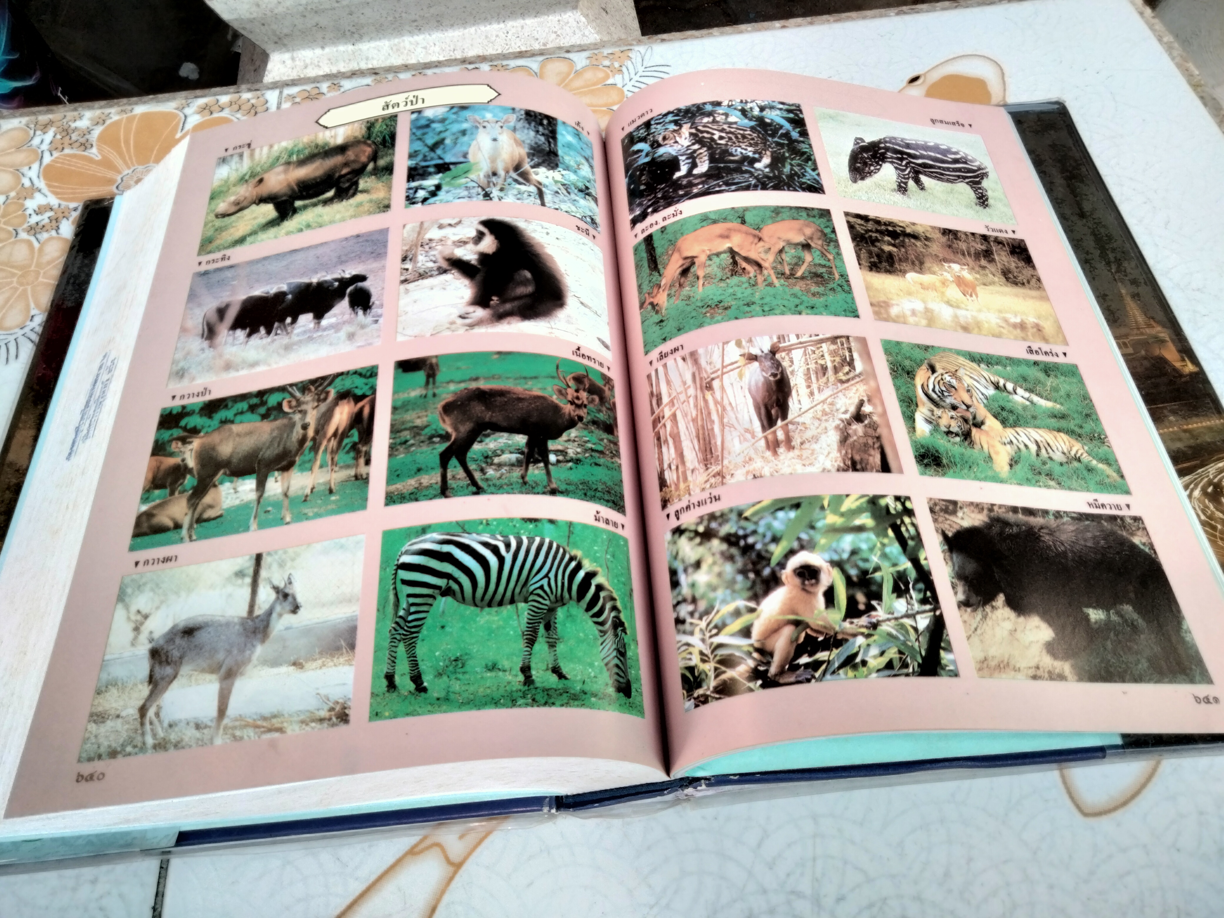 พจนานุกรม ฉบับเฉลิมพระเกียรติ พ.ศ.2530 (หนังสือจำหน่ายจากห้องสมุด)