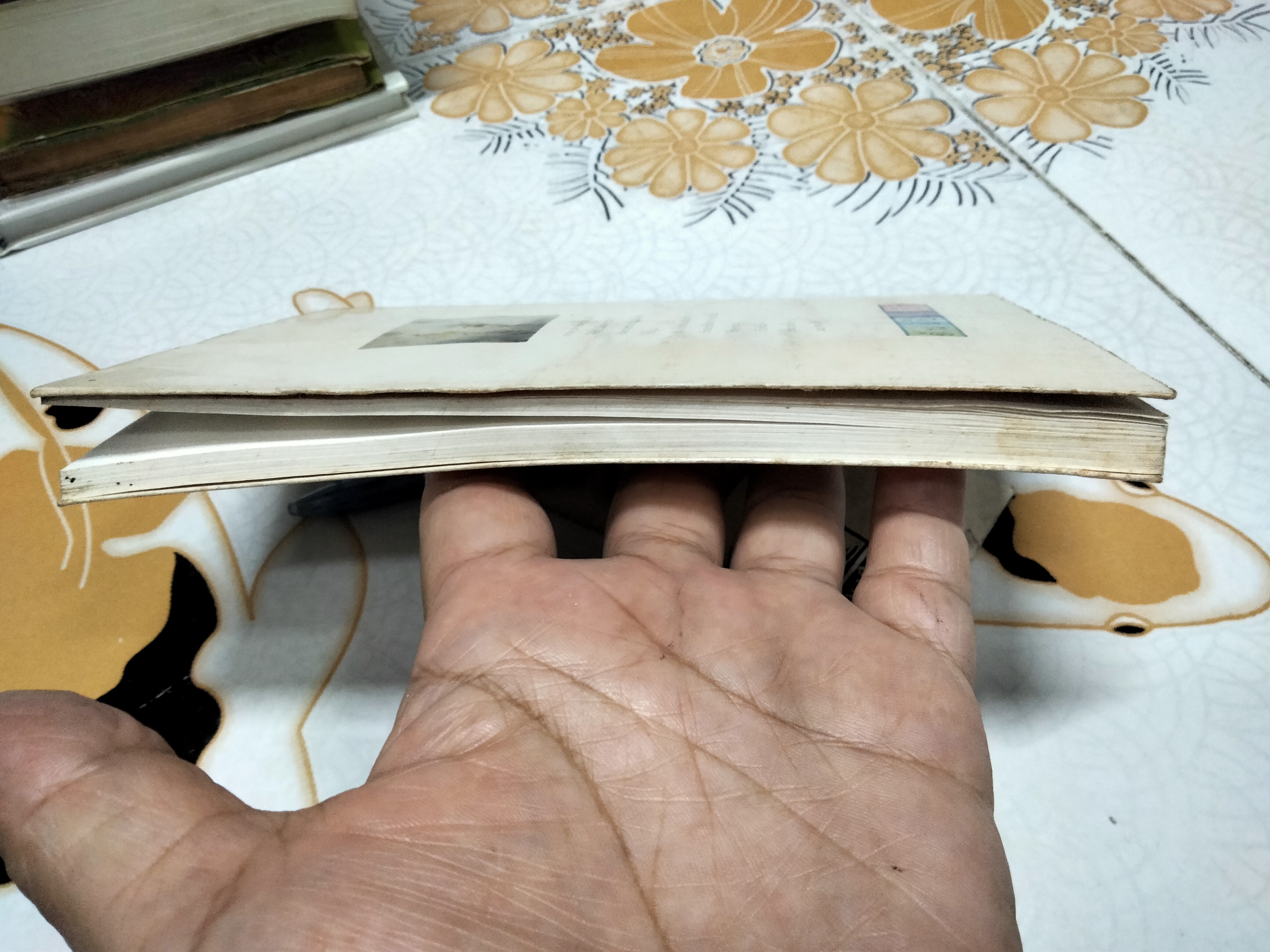 อันเป็นที่รัก โดย ปะการัง (มีคราบน้ำ) **สินค้าหมด**