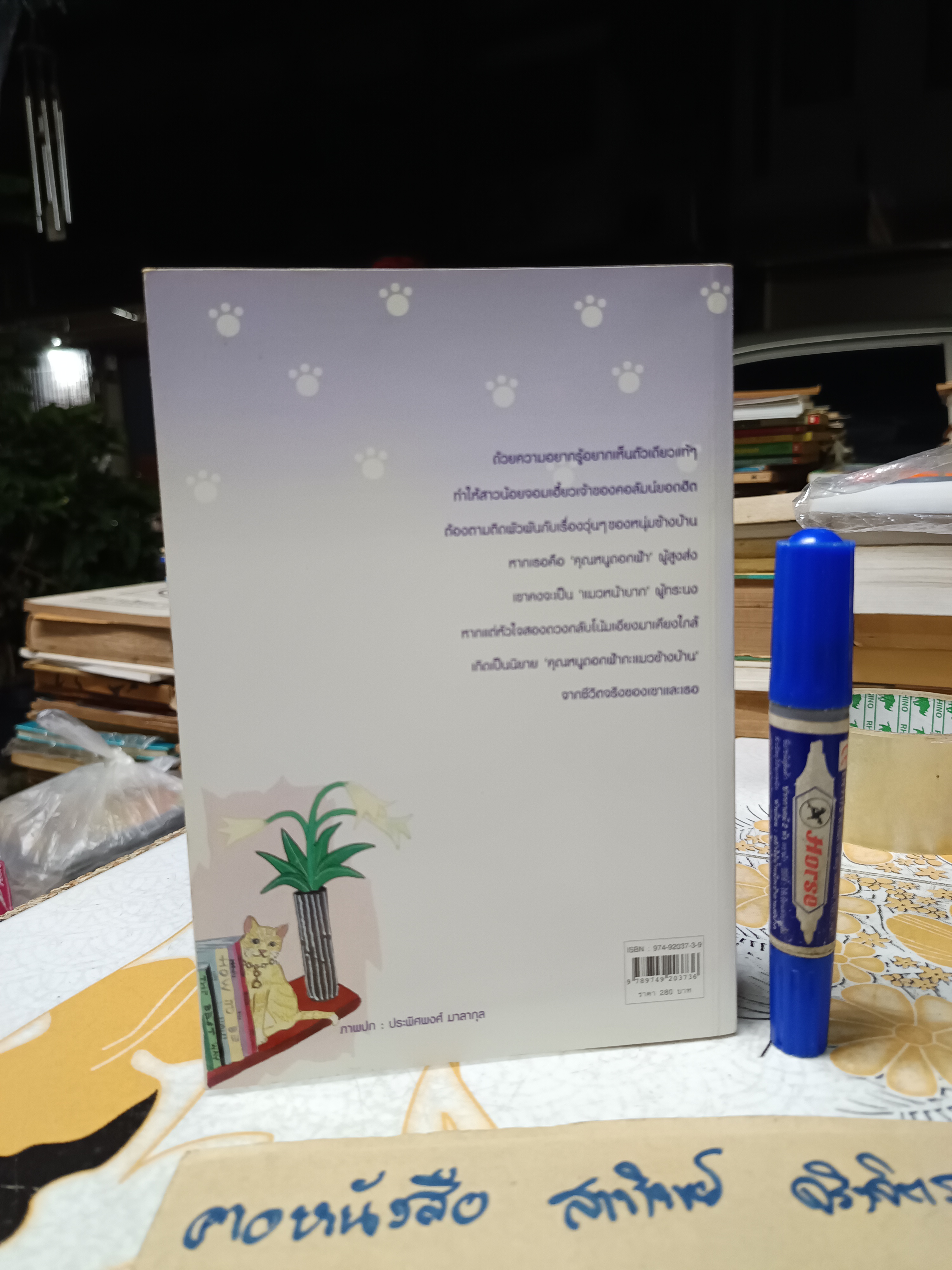 คุณหนูดอกฟ้ากะแมวข้างบ้าน (เล่มเดียวจบ) - กัญญามาศ พิมพ์ครั้งแรกพ.ศ 2547 สำนักพิมพ์เพื่อนดี
