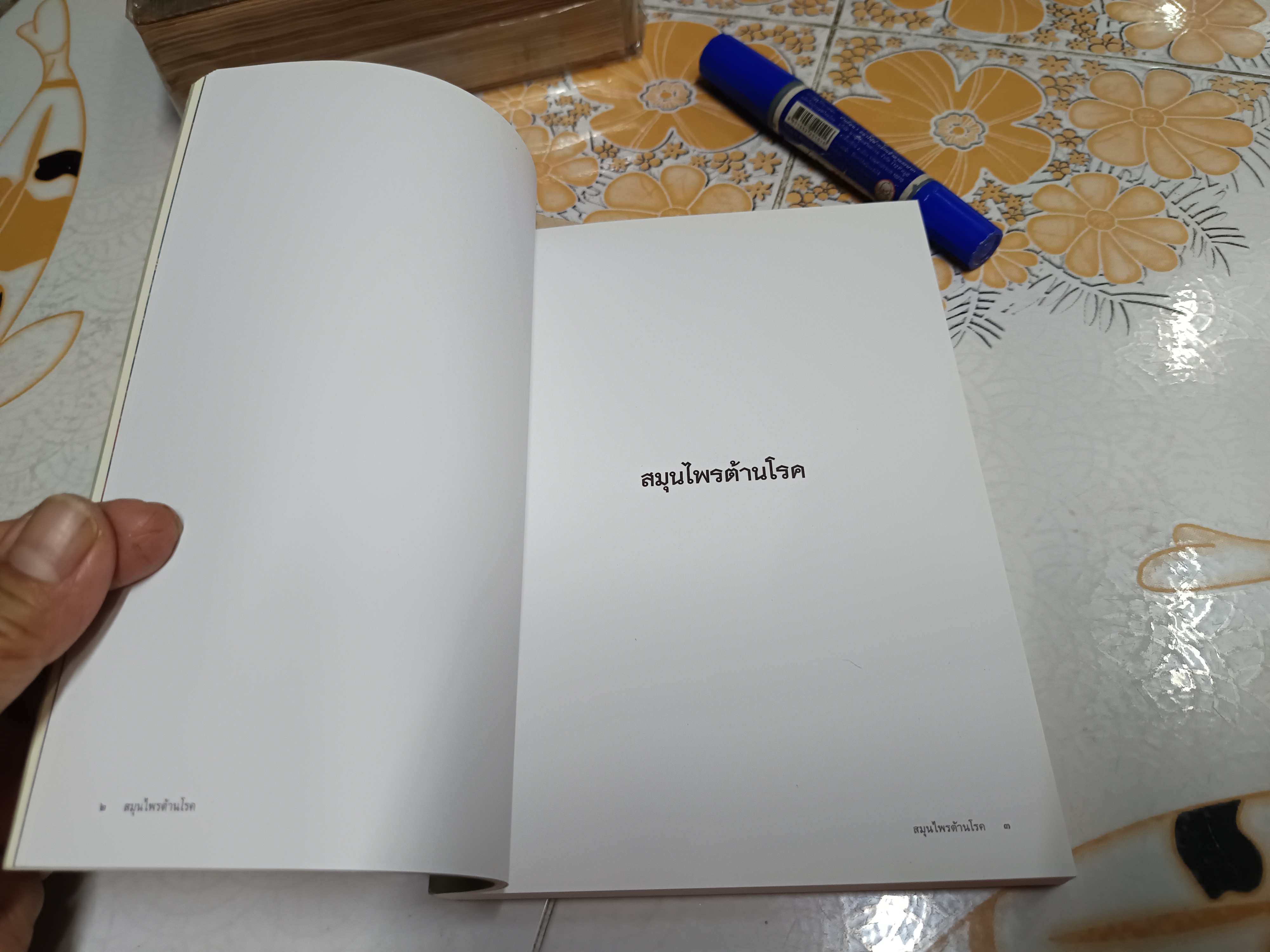 หนังสืออนุสรณ์ ท่านหญิงไตรทิพย์สุดา วิเศษกุล (เกษมสันต์) **สินค้าหมด**