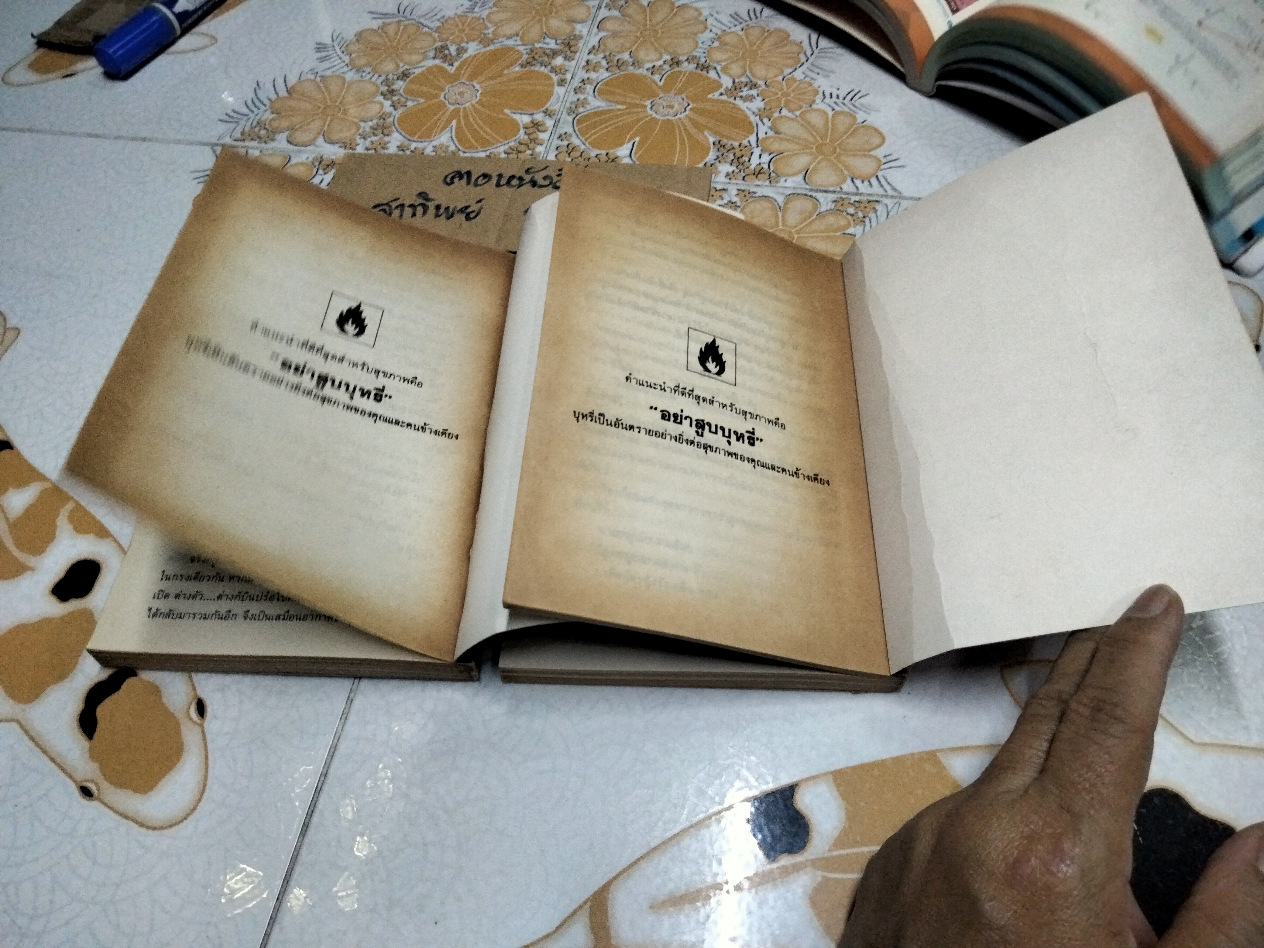 แรงรัก (2 เล่มจบ) กนกเรขา **สินค้าหมด**