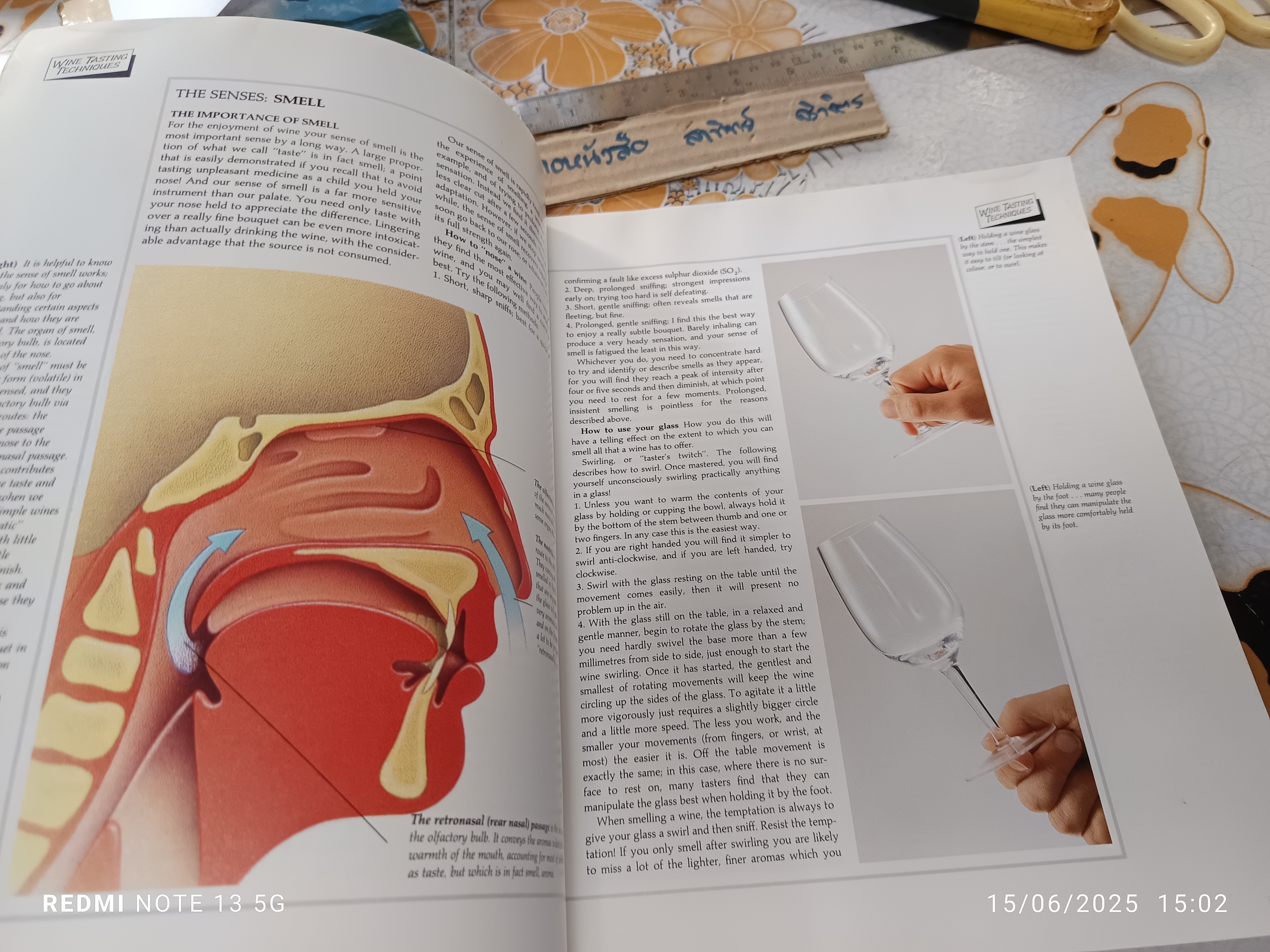 Understanding Wine : A Guide to Winetasting and Wine Appreciation By Michael Schuster