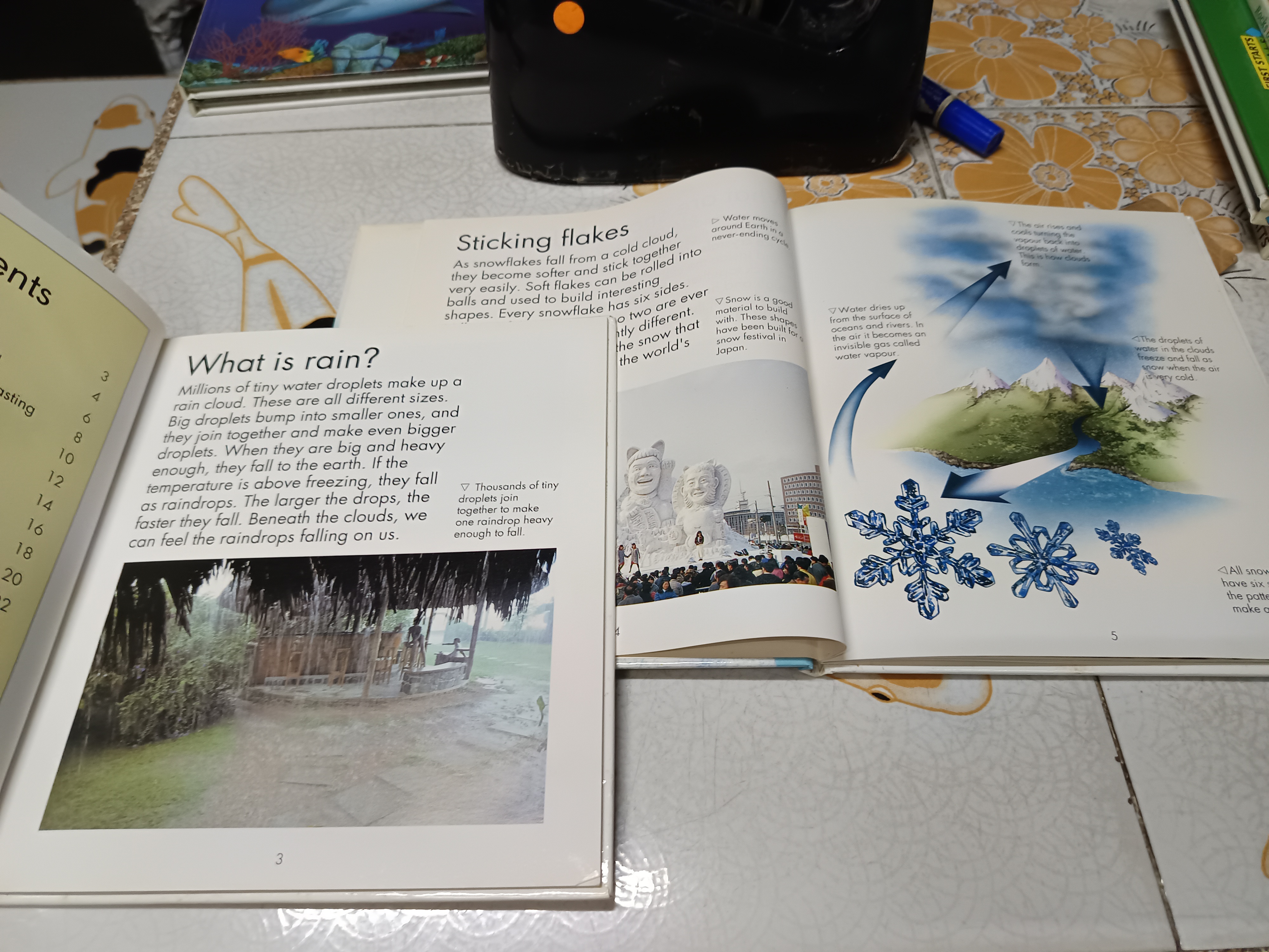 FIRST STARTS / WATTS BOOKS หนังสือภาพภาษาอังกฤษ ความรู้ (ปกแข็ง)