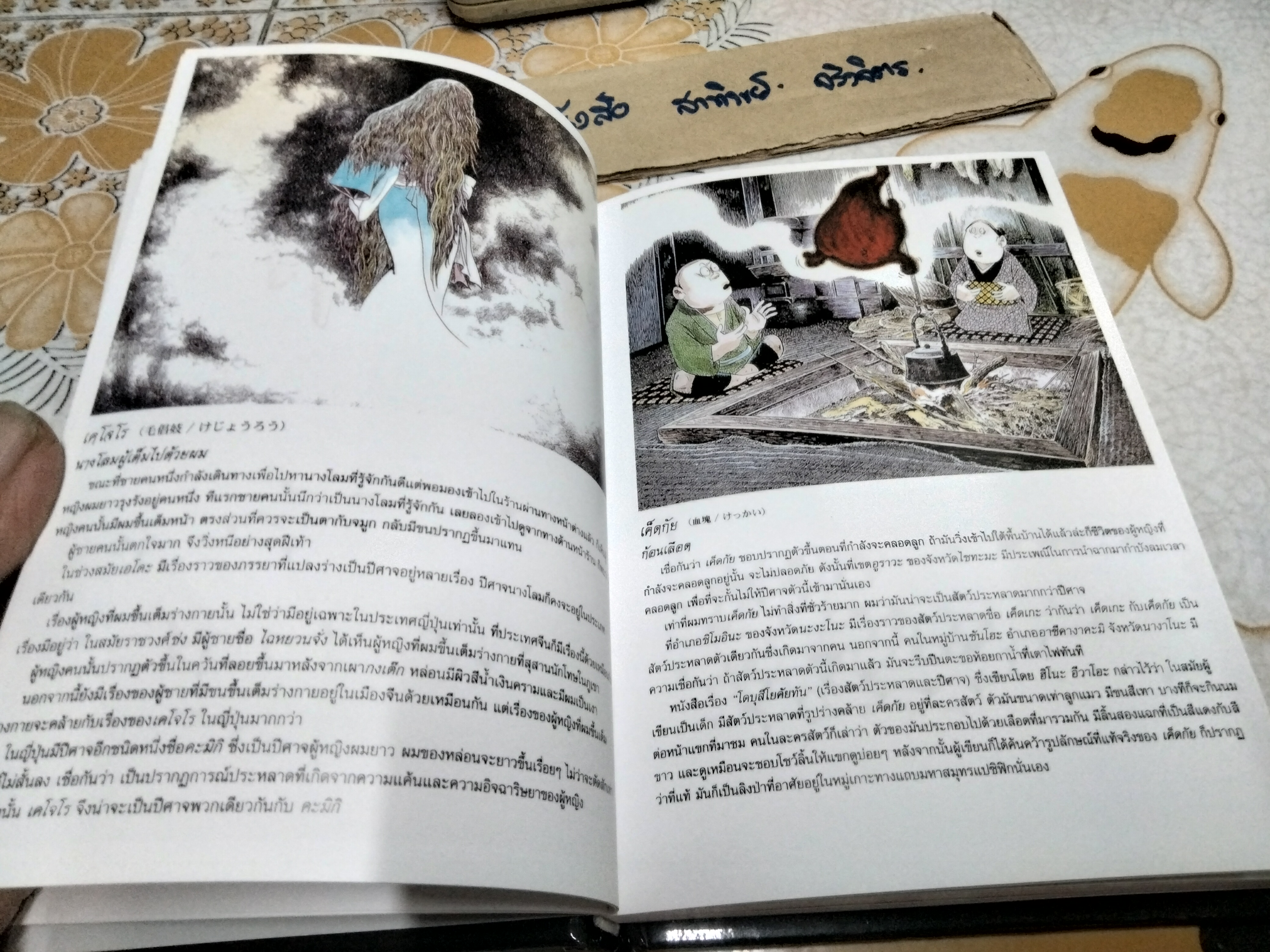 ตำนานปีศาจญี่ปุ่น Shigeru Mizuki เรื่องและภาพ Marisa Kotani แปล พิมพ์ครั้งแรก พ.ศ 2550 **สินค้าหมด**