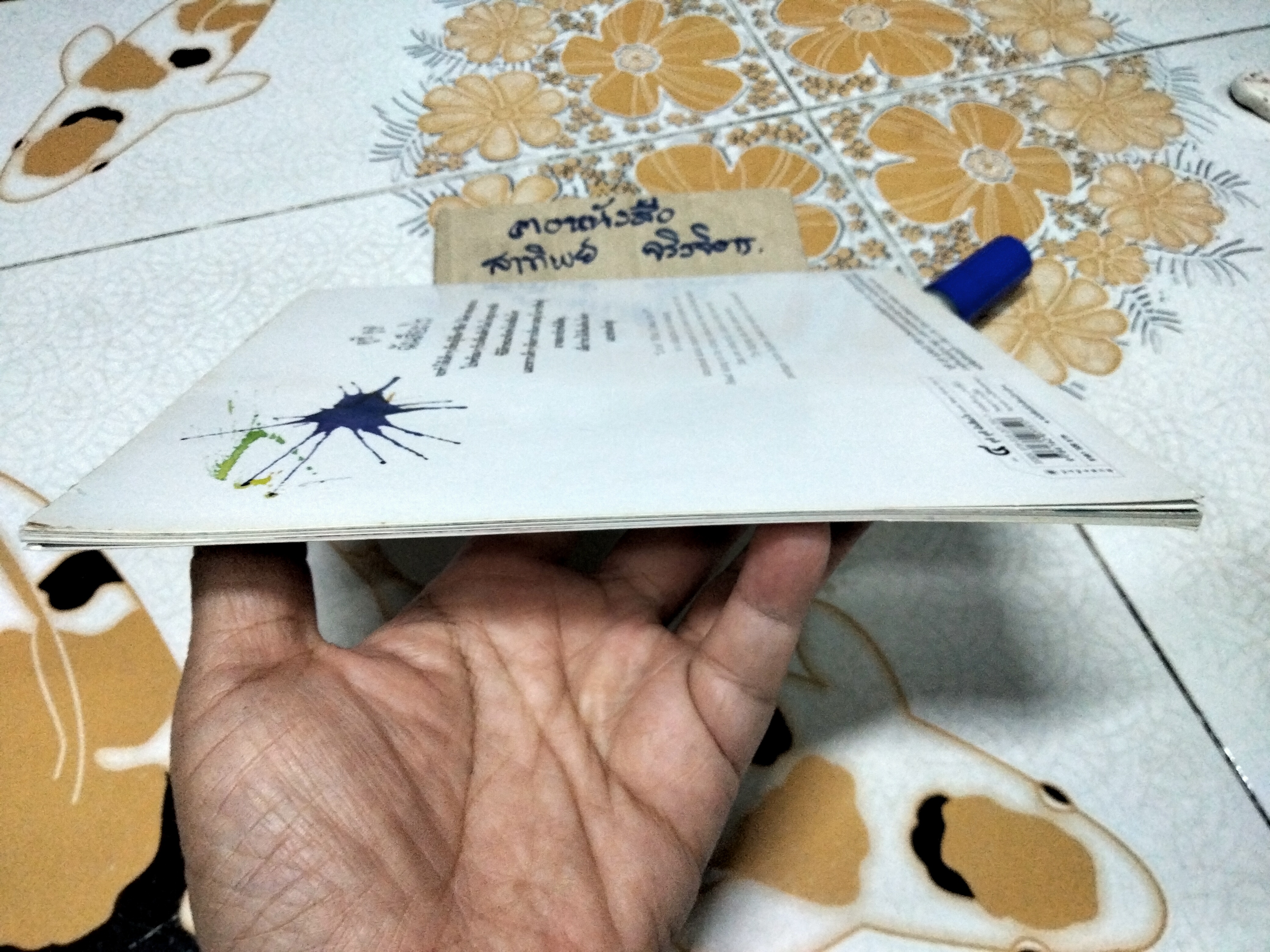 ดูซิ ดูซิ ฉันสีอะไร (นิทาน 2 ภาษา ไทย- อังกฤษ) Look What Colour Am I ? - ตุลย์ สุวรรณกิจ (Tul Suwannakit)