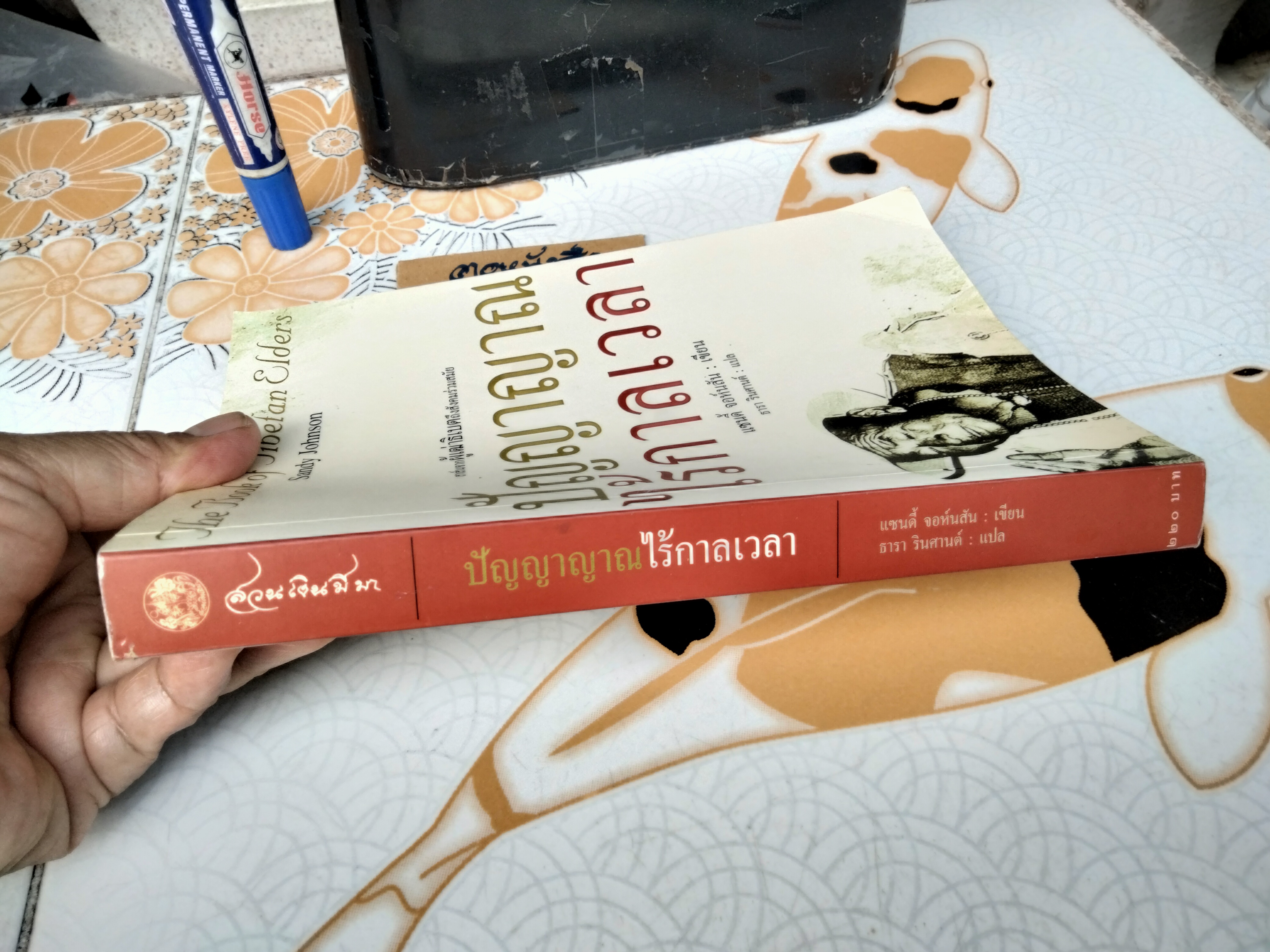 ปัญญาญาณไร้กาลเวลา แซนดี้ จอห์นสัน เขียน ธารา รินศานต์ แปล