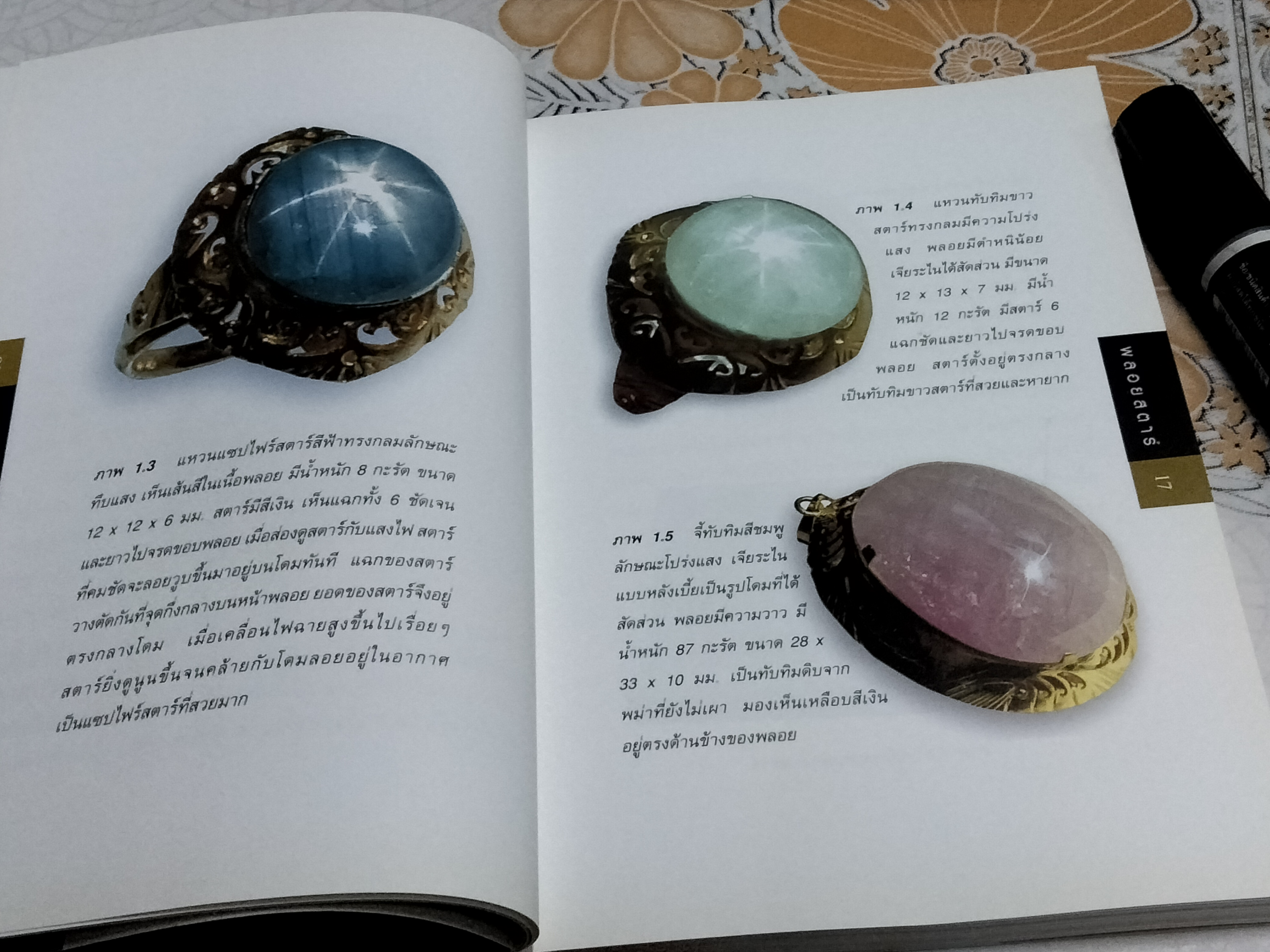 พลอยสตาร์ - พรทิพย์ โล่ห์เลขา