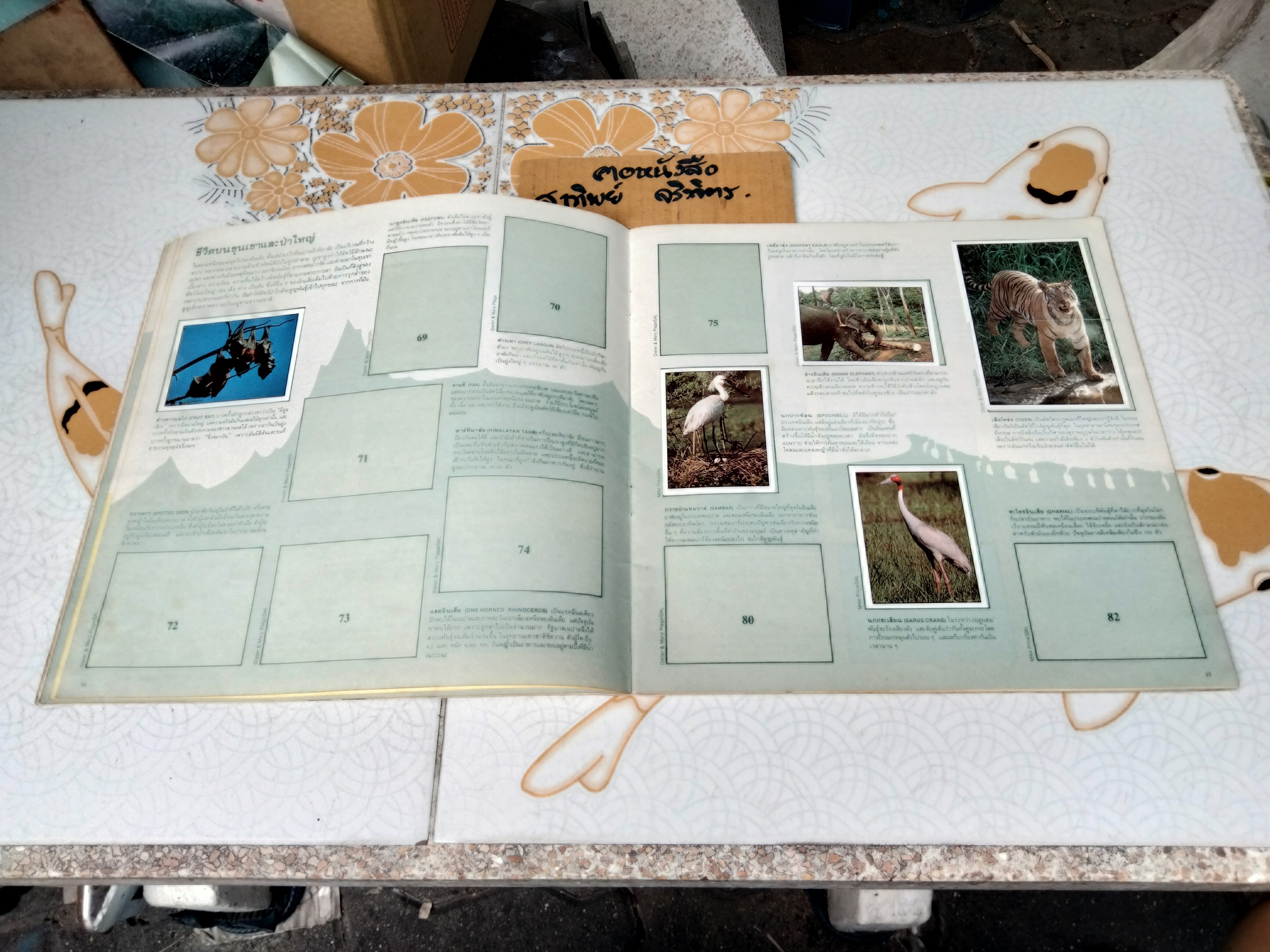 สมุดสะสมสติกเกอร์ ชีวิตสัตว์โลก (แปะไป 66 รูป/ 240 รูป)