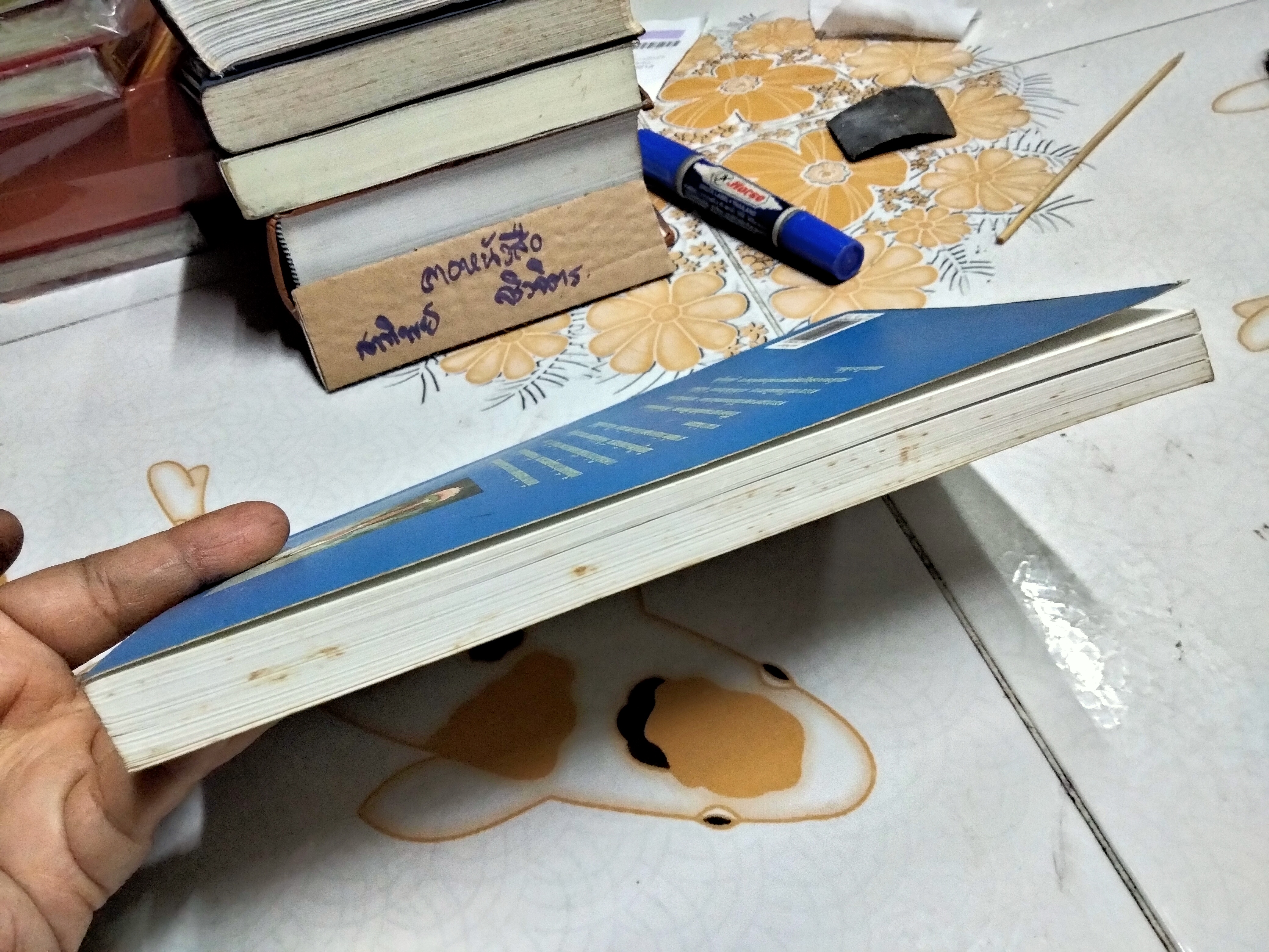 ลุ่มน้ำนัมมทา เขียนโดย สุชีพ ปุญญานุภาพ จินตนิยายอิงหลักธรรมทางพระพุทธศาสนา **สินค้าหมด**