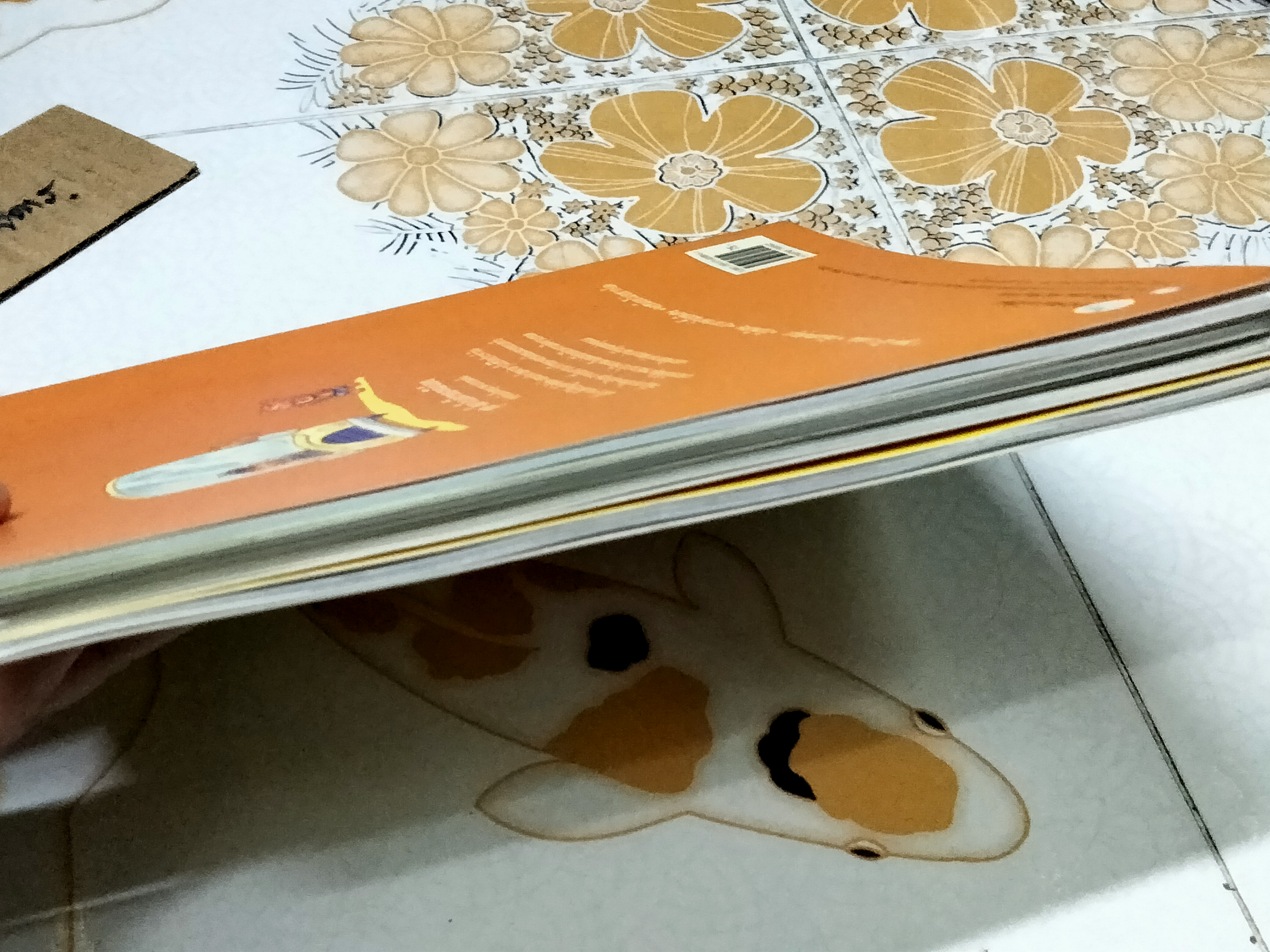 นิทาน 2 ภาษา ชุด โลกใบเล็กของหมีน้อย (4 เล่มชุด..ฉบับพิมพ์ครั้งแรก พ.ศ 2548, สำนักพิมพ์แฮปปี้คิดส์) **สินค้าหมด**