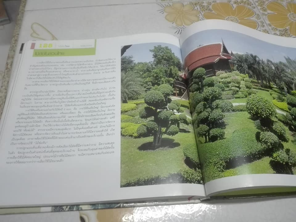 ไม้ดัดไทย (ปกแข็ง) โดย บัญชา เขมธร - ภูวดล น้ำดอกไม้ (มือหนึ่ง ในซีล) **สินค้าหมด**