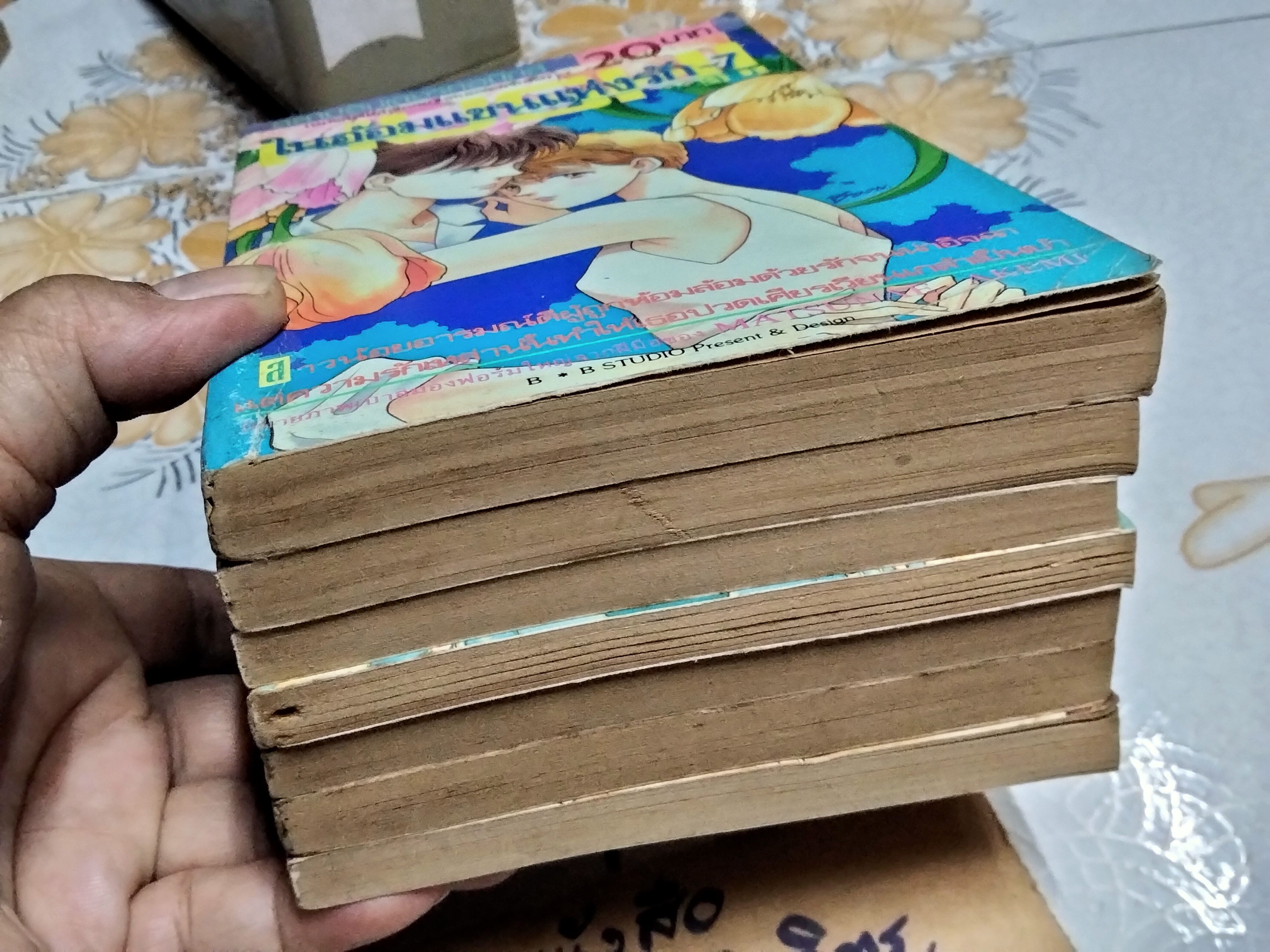 ในอ้อมแขนแห่งรัก (7 เล่มจบ) Matsunae Akemi สำนักพิมพ์ สยามอินเตอร์คอมิกส์