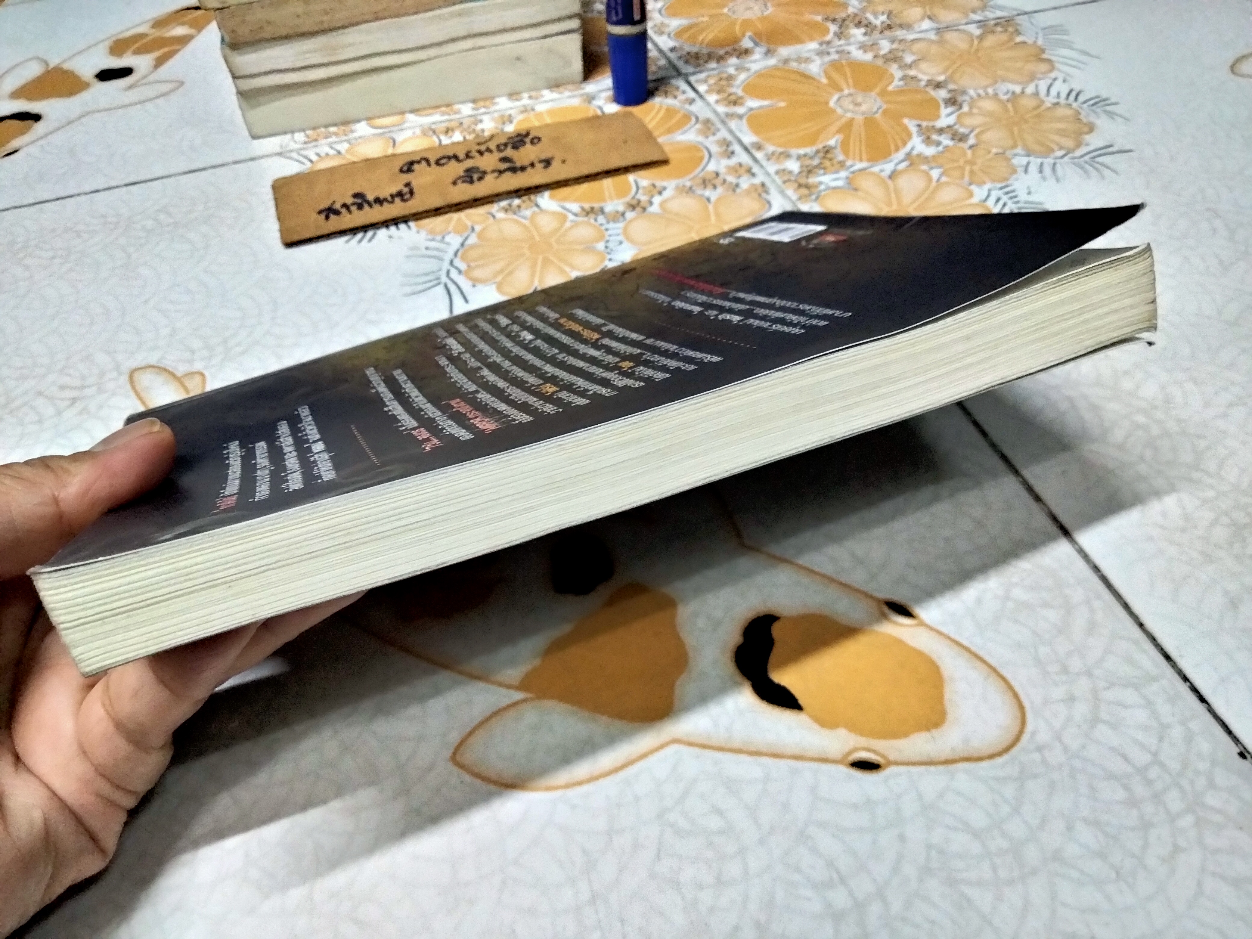 Mirror กระจกสั่งตาย (นิยาย) - ภาคินัย **สินค้าหมด**