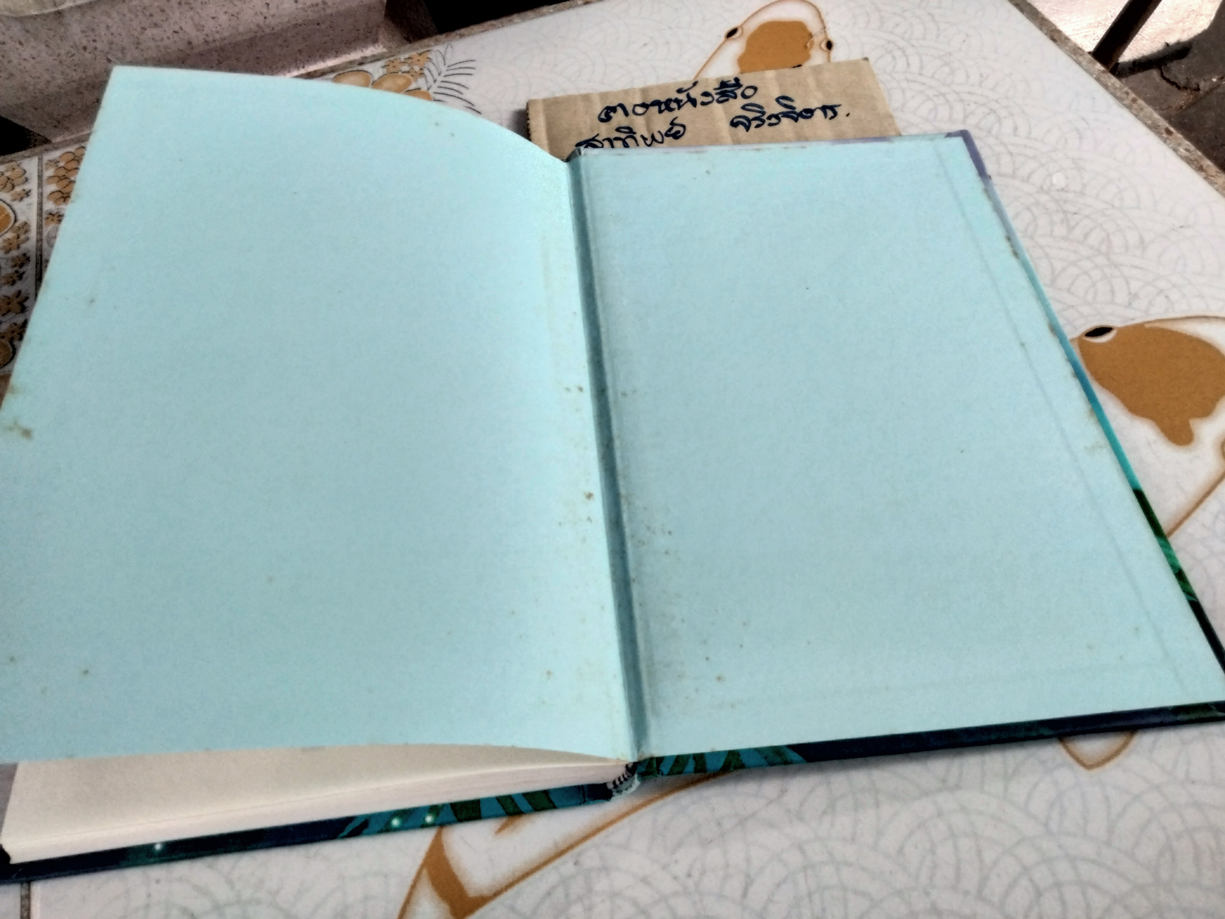 เอมิลีมีหาง (ปกแข็ง) ลิซ เคสส์เลอร์ เขียน , สิริยากร พุกกะเวส แปล