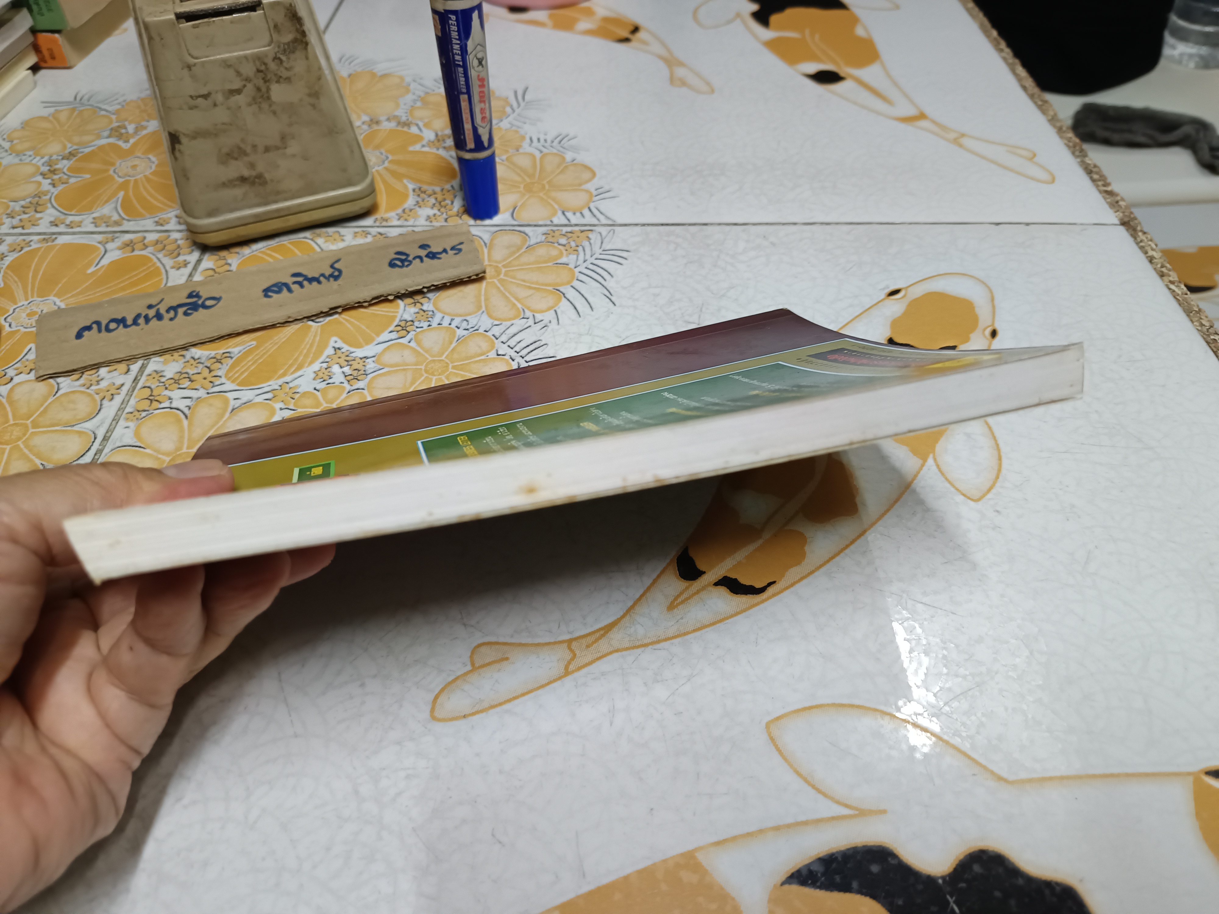 ตำรากดจุดแบบจีนรักษา 35 โรคที่พบบ่อย