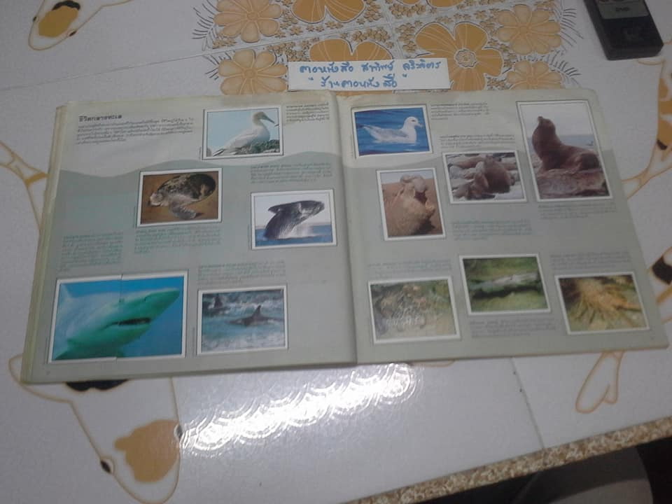 สมุดสะสมสติกเกอร์ ชีวิตสัตว์โลก - แปะครบ (ตัวเล่มมีคราบน้ำ มุมบนมีรอยยับ) **สินค้าหมด**