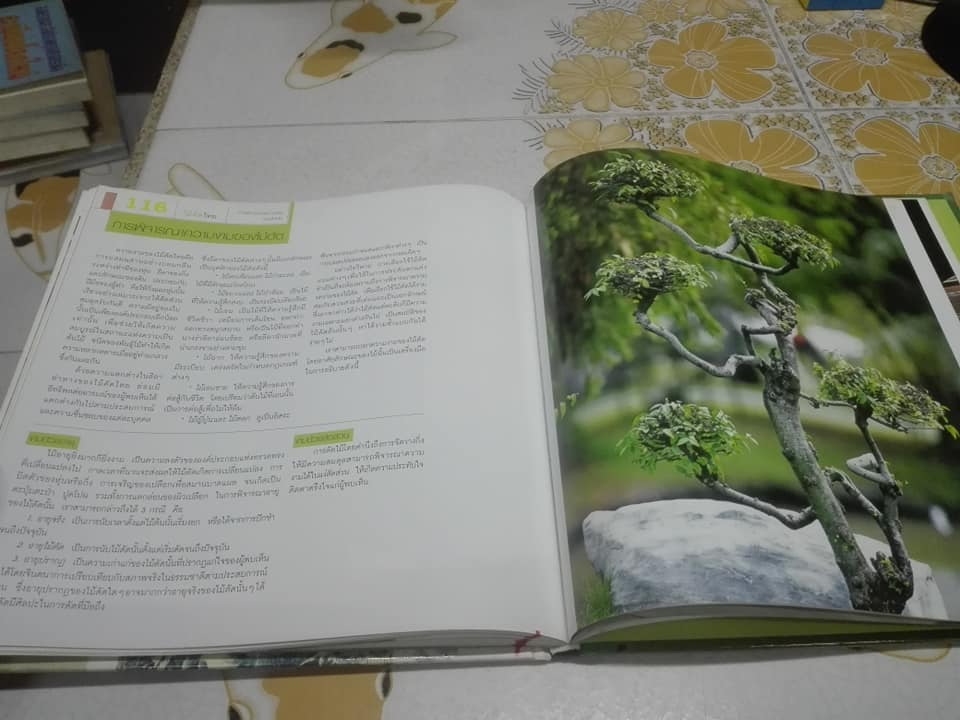 ไม้ดัดไทย (ปกแข็ง) โดย บัญชา เขมธร - ภูวดล น้ำดอกไม้ (มือหนึ่ง ในซีล) **สินค้าหมด**