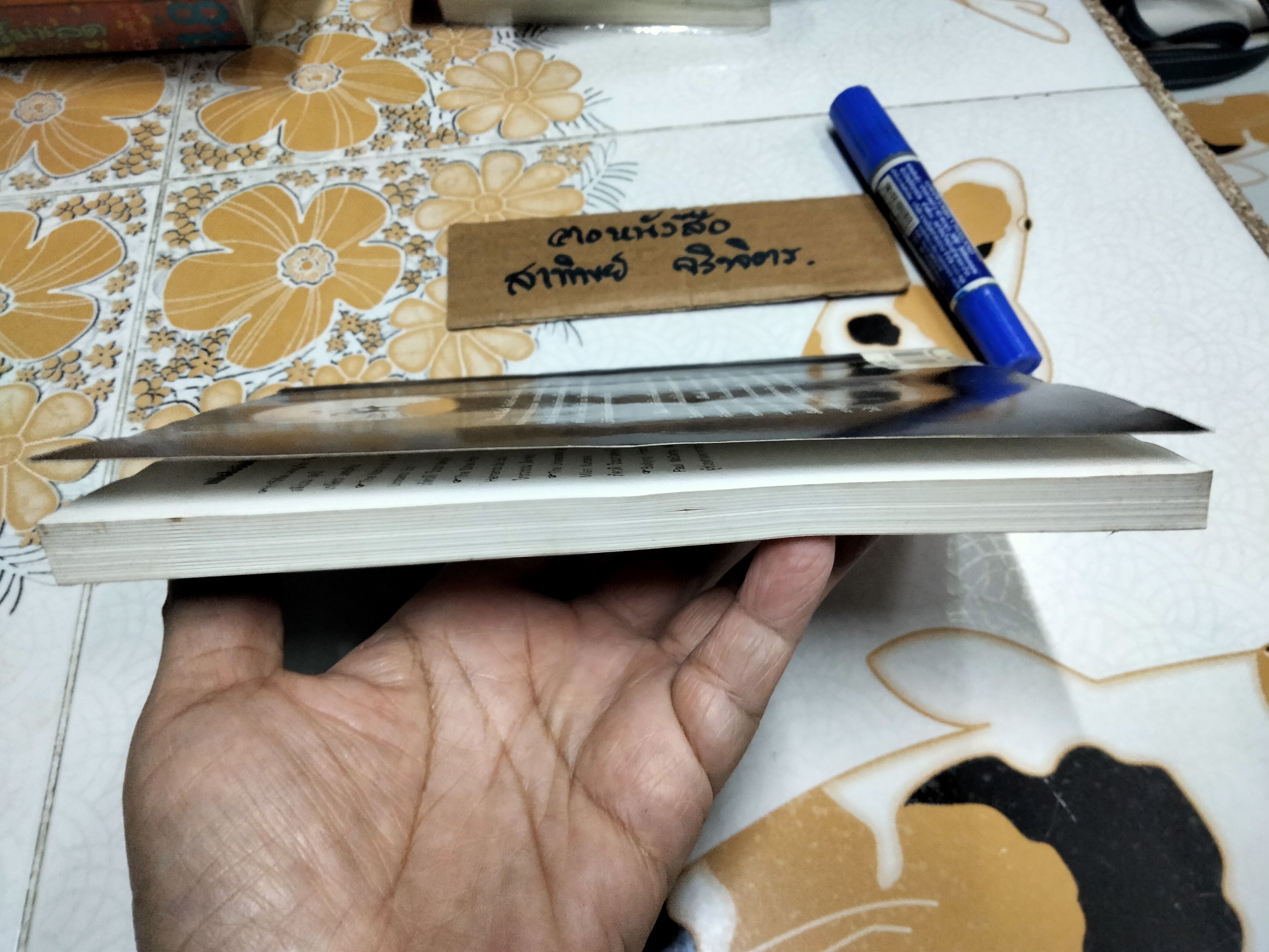 เมธีทะเลทราย (Thinkers of the East) อิดริส ชาฮ์ เขียน - สุธาสินี พานิชชานนท์ แปล