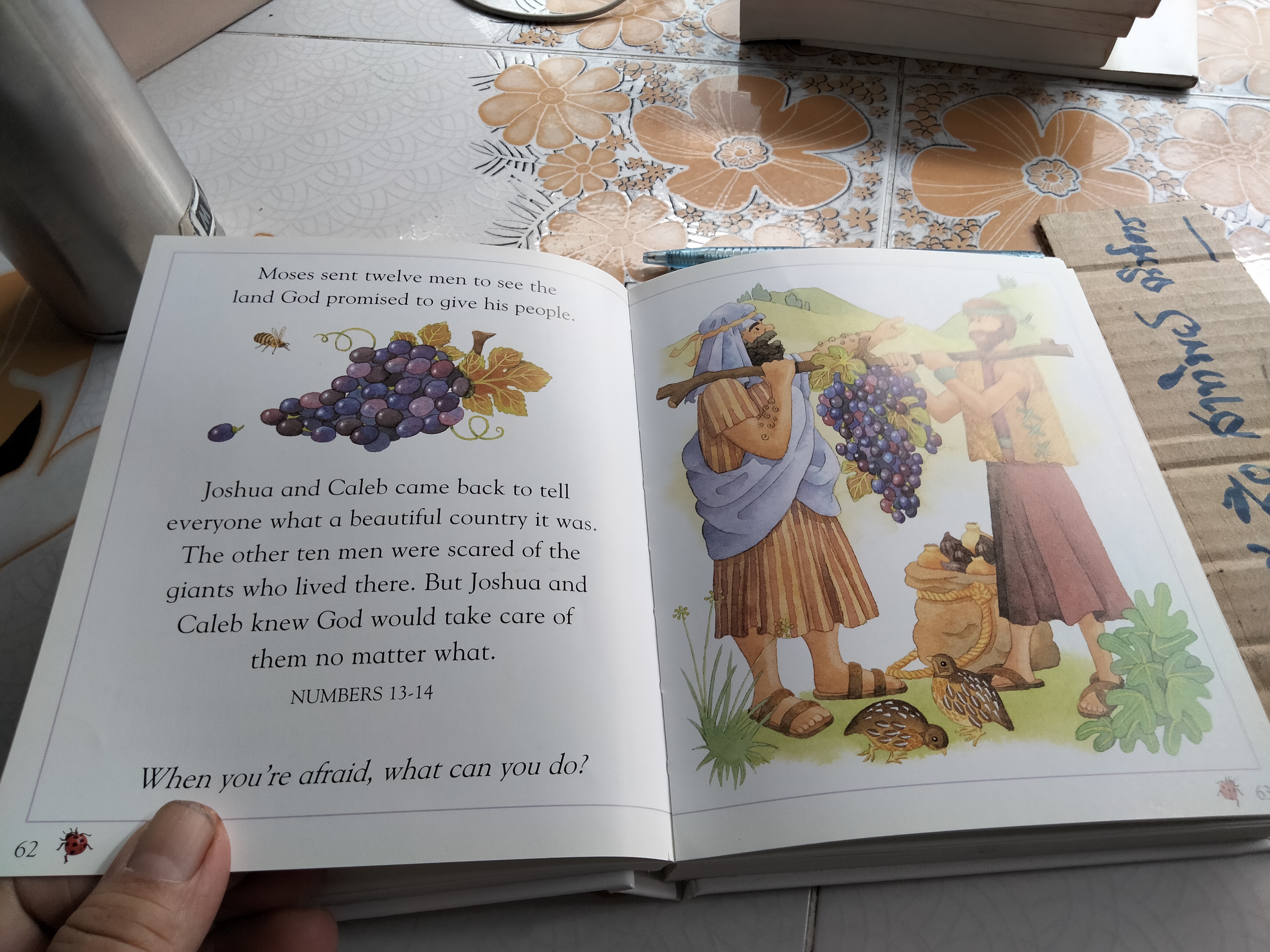 A Child's First Bible - Kenneth N.Taylor **สินค้าหมด**