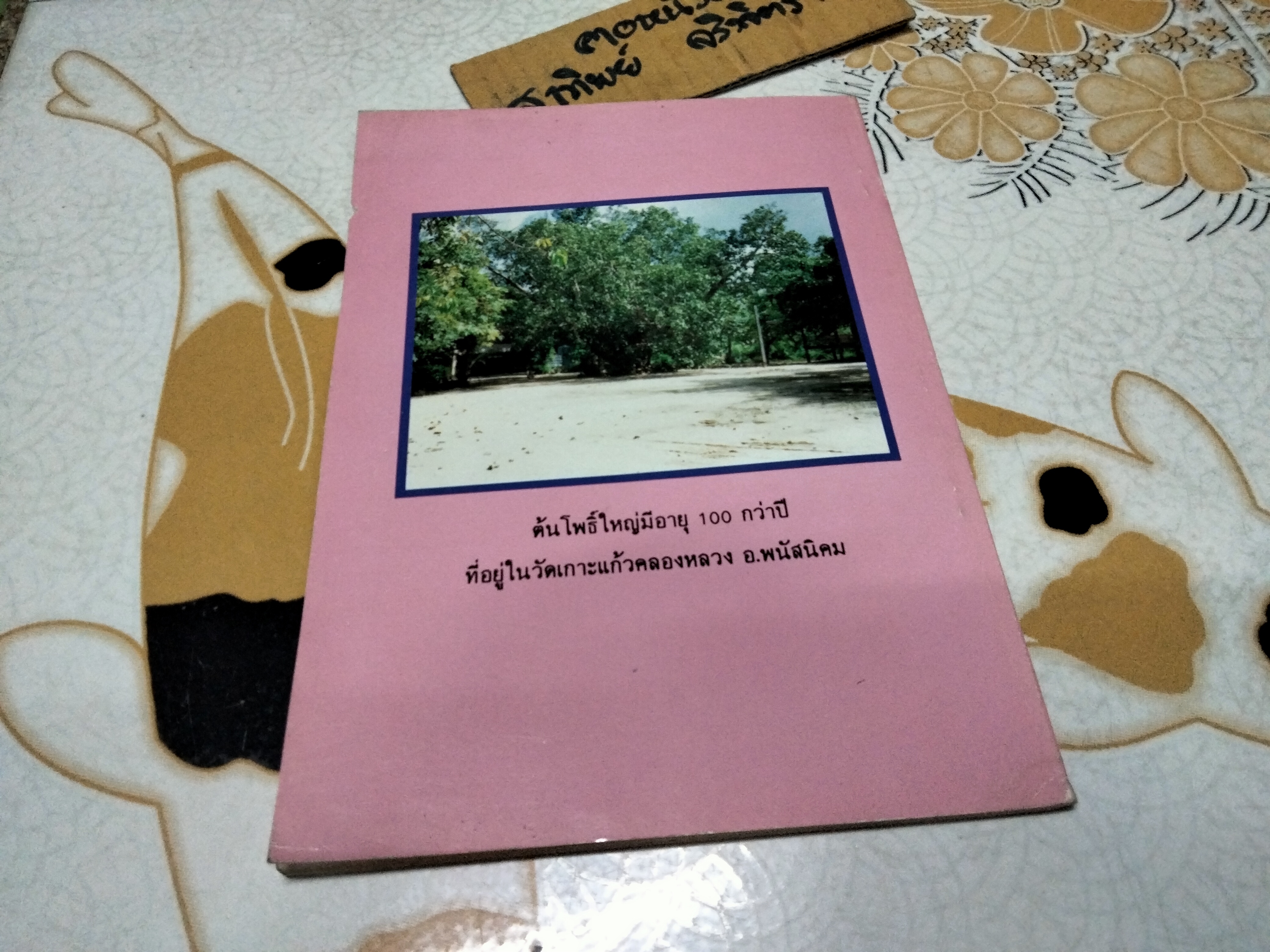 ประวัติเมืองพนัสนิคม รวบรวมโดยพระอธิการพรหมมาศ ธีรภัทโท วัดเกาะแก้วคลองหลวง **สินค้าหมด*"