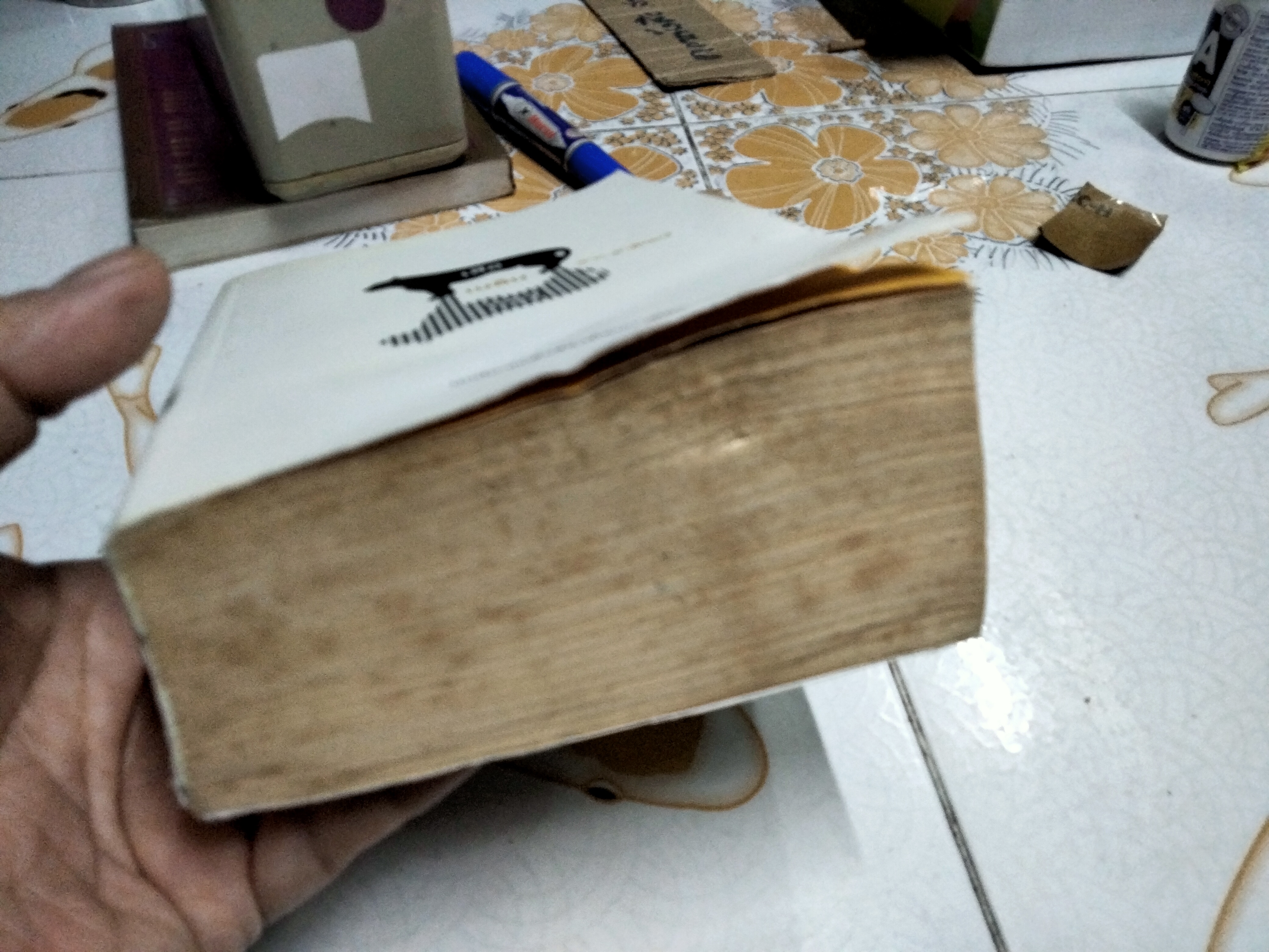 เสือเพลินกรง โดย ผาด พาสิกรณ์ (ลูกชายพนมเทียน) ...นวนิยายเพื่อชีวิตที่ติดบาร์โค้ด! พิมพ์ครั้งแรก พ.ศ 2552 สนพ. คเณศบุรี (หนังสือโดนน้ำ)