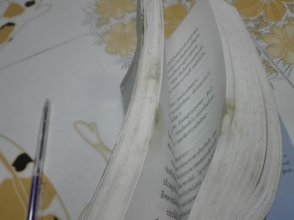 นาคราช โดย แก้วเก้า ** สินค้าหมด**