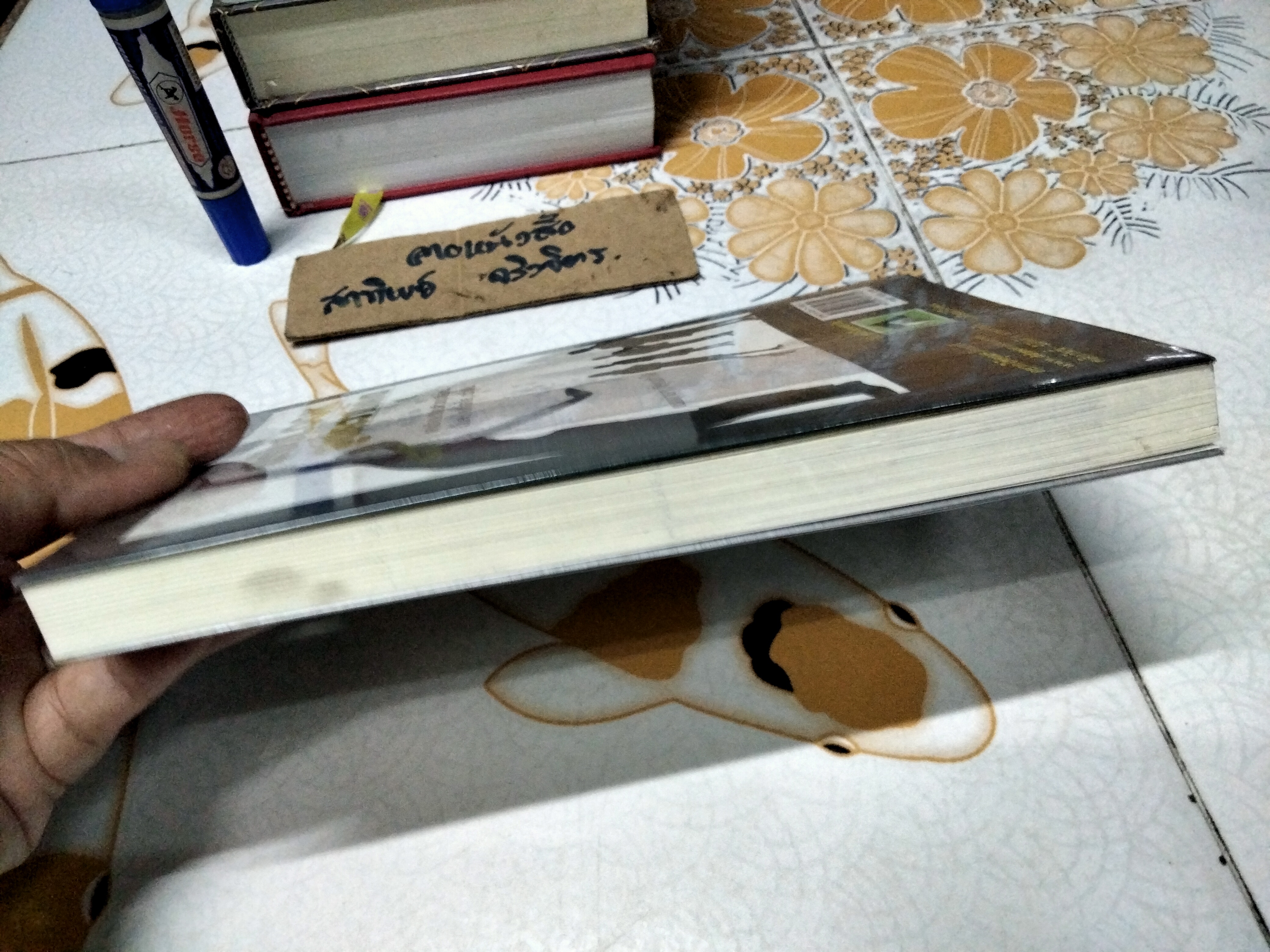 บุคลิกใหม่ บุคลิกมีระดับ Personality โดย เพลินจิต สุวรรณแพทย์