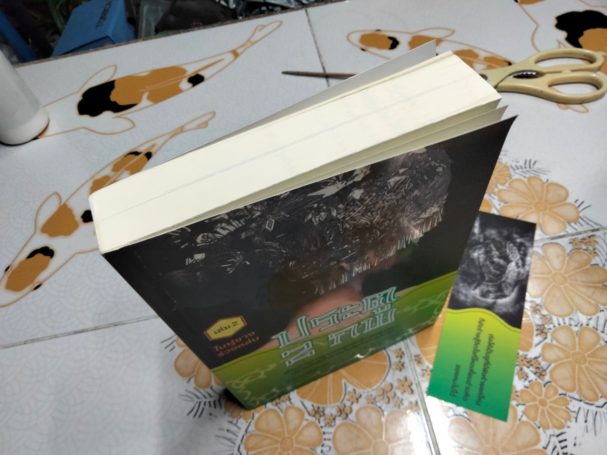 ประตู 2 ภพ เล่ม 2 ใบฝูซางร่วงหล่น - หลิวตีชวน แต่ง