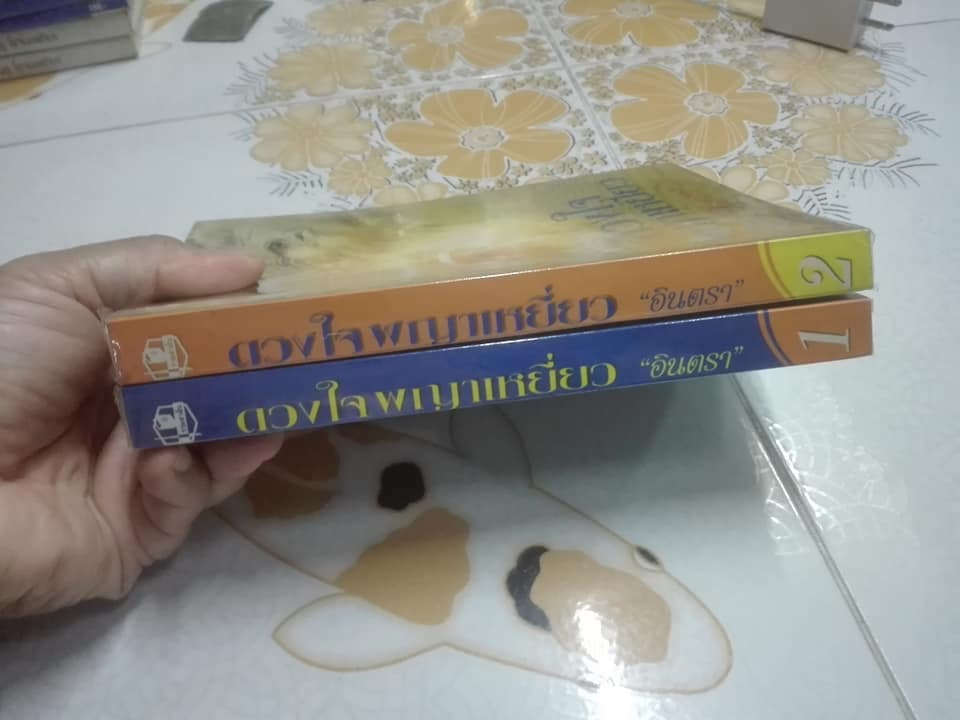 ดวงใจพญาเหยี่ยว (2 เล่มจบ) โดย อินตรา **สินค้าหมด**