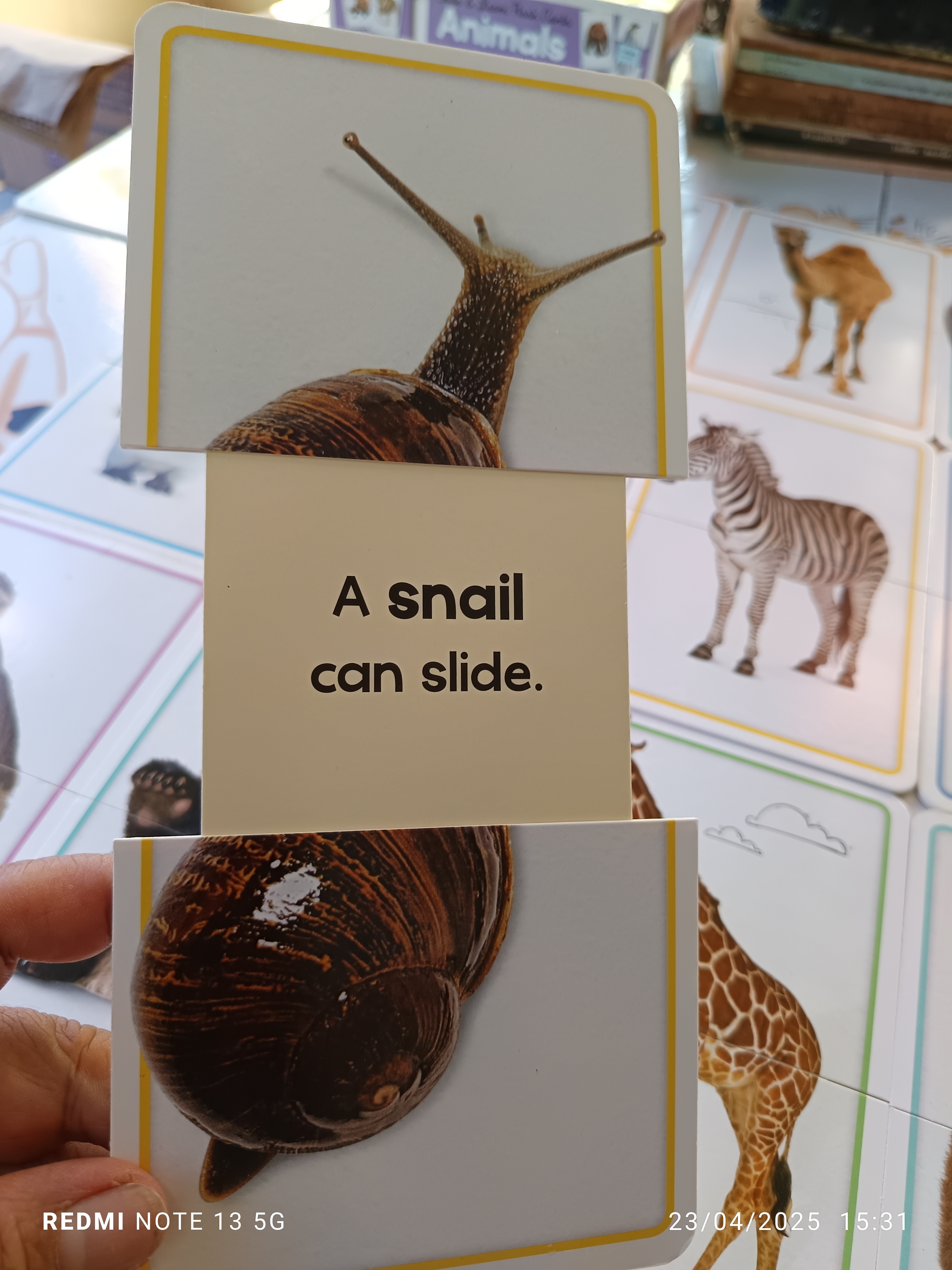 แฟลชการ์ด Animals (box set) Slide and Learn Flash Cards (15 ใบ) : Animals **สินค้าหมด**