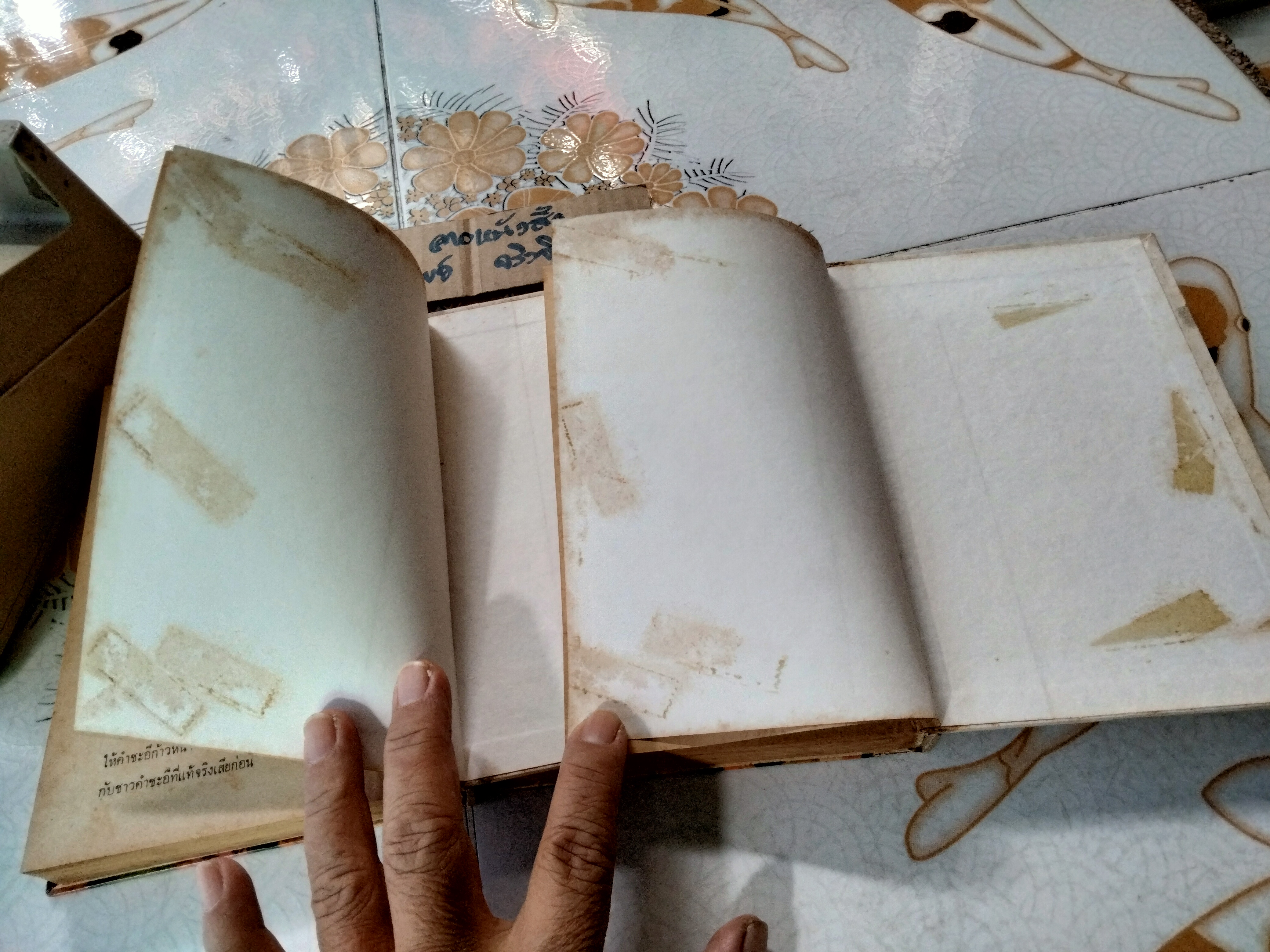 หลานสาวจอมพล (2 เล่มจบ) อาจารีย์