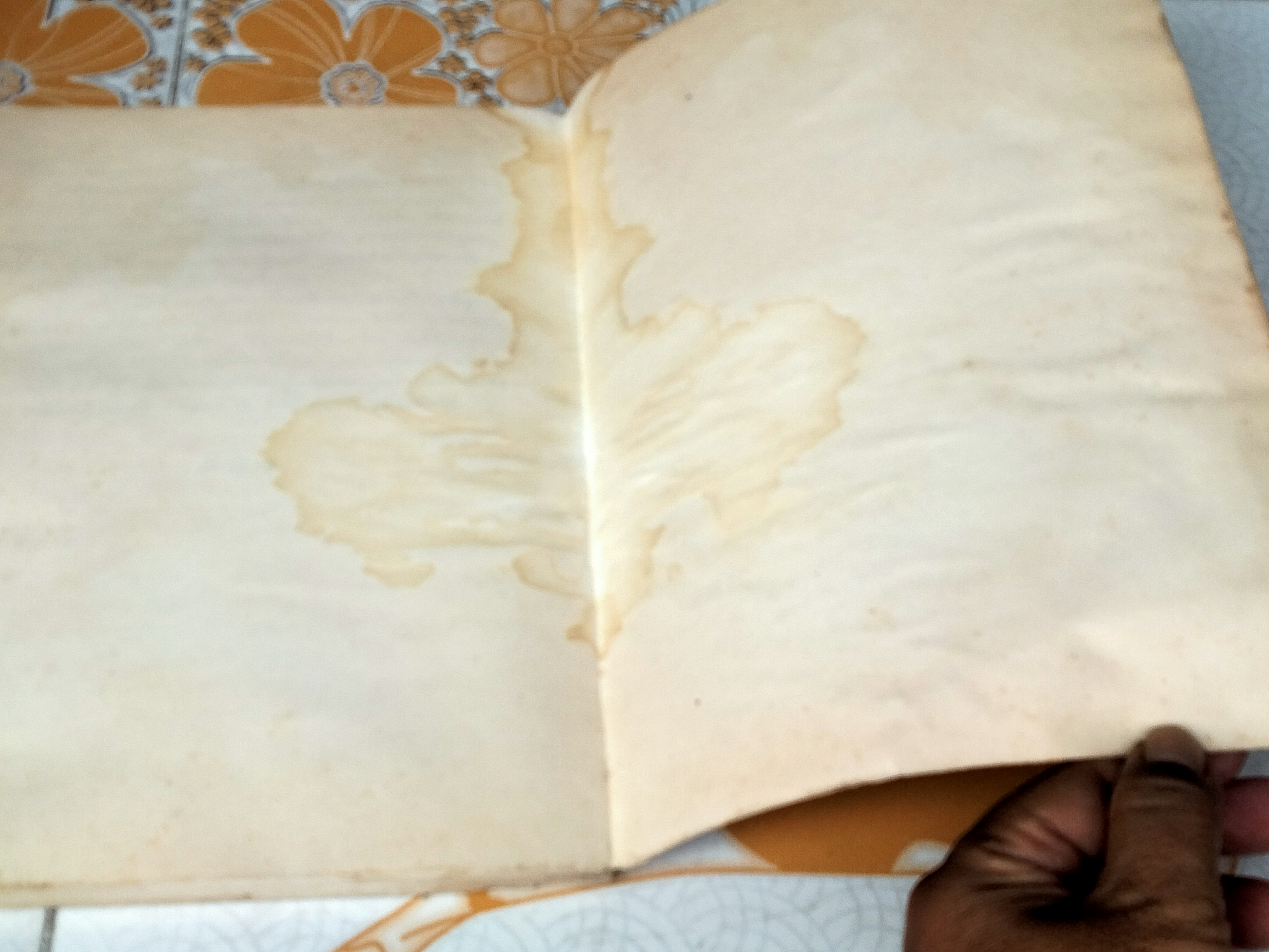 การชี้สองสถาน โดยอาจารย์ธานินทร์ กรัยวิเชียร (มีคราบน้ำ) **สินค้าหมด**