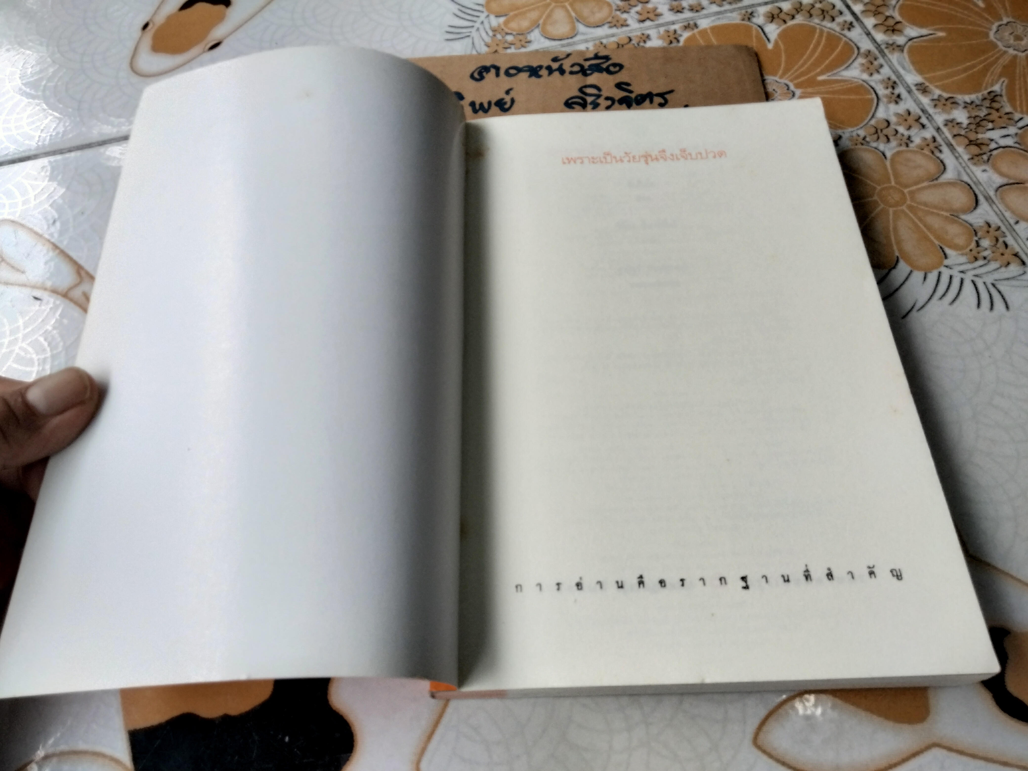 เพราะเป็นวัยรุ่นจึงเจ็บปวด คิมรันโด เขียน วิทิยา จันทร์พันธ์ แปล **สินค้าหมด**