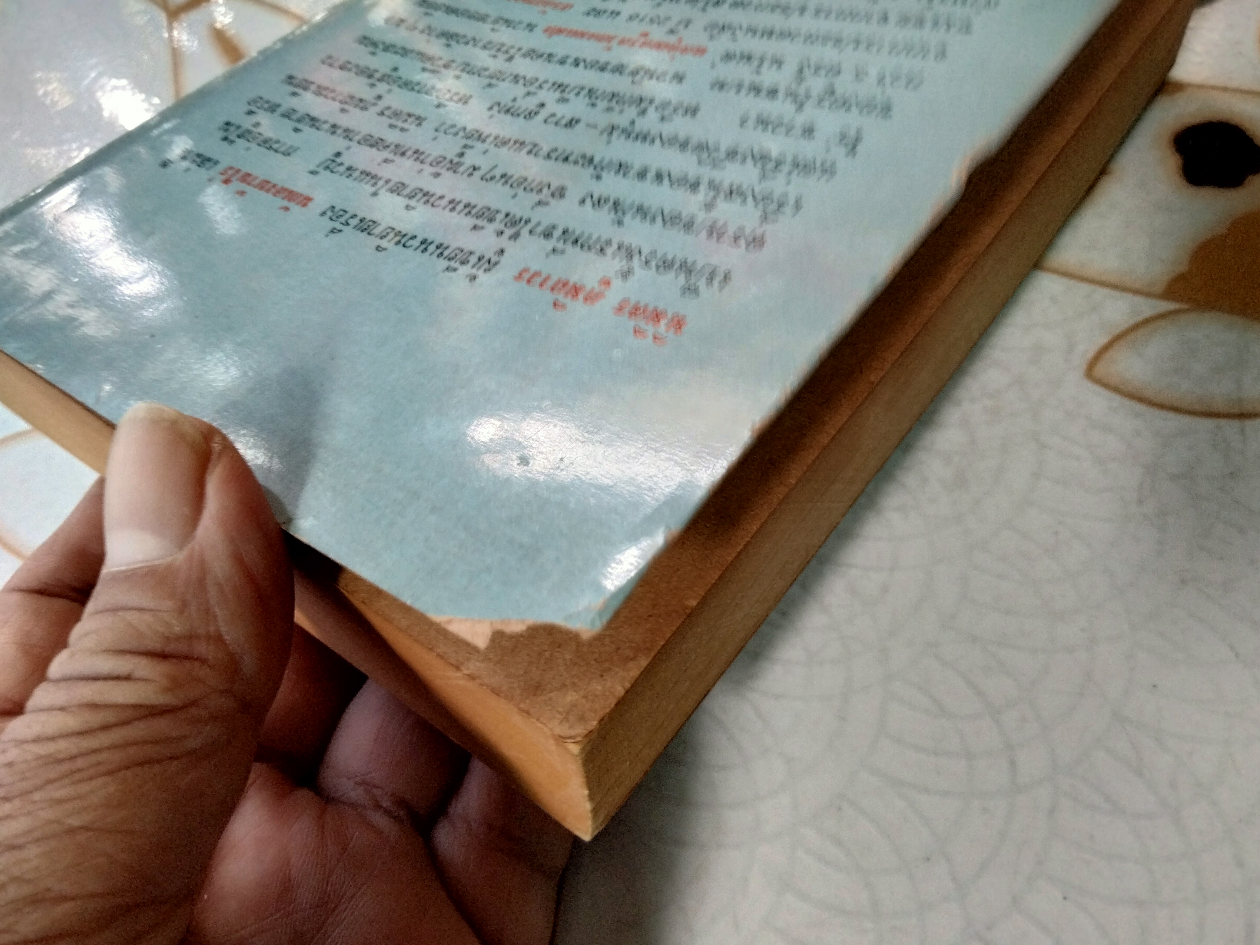 นักเลงบ้านไร่ (เล่มเดียวจบ) โดย นิมิตร ภูมิถาวร