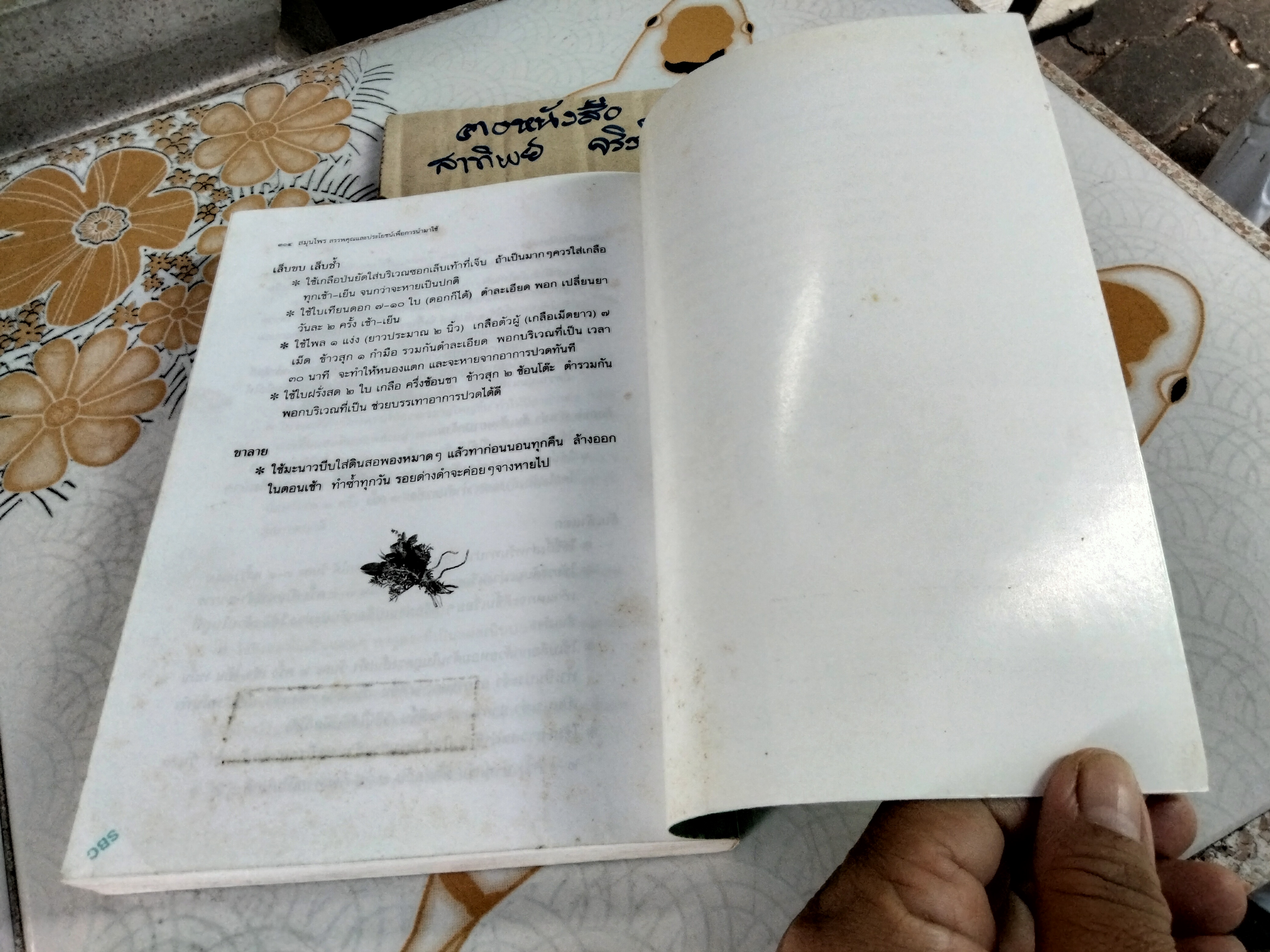 สมุนไพร สรรพคุณและประโยชน์เพื่อการนำไปใช้ โดย พ.ญ.พิสุทธิพร ฉ่ำใจ **สินค้าหมด**