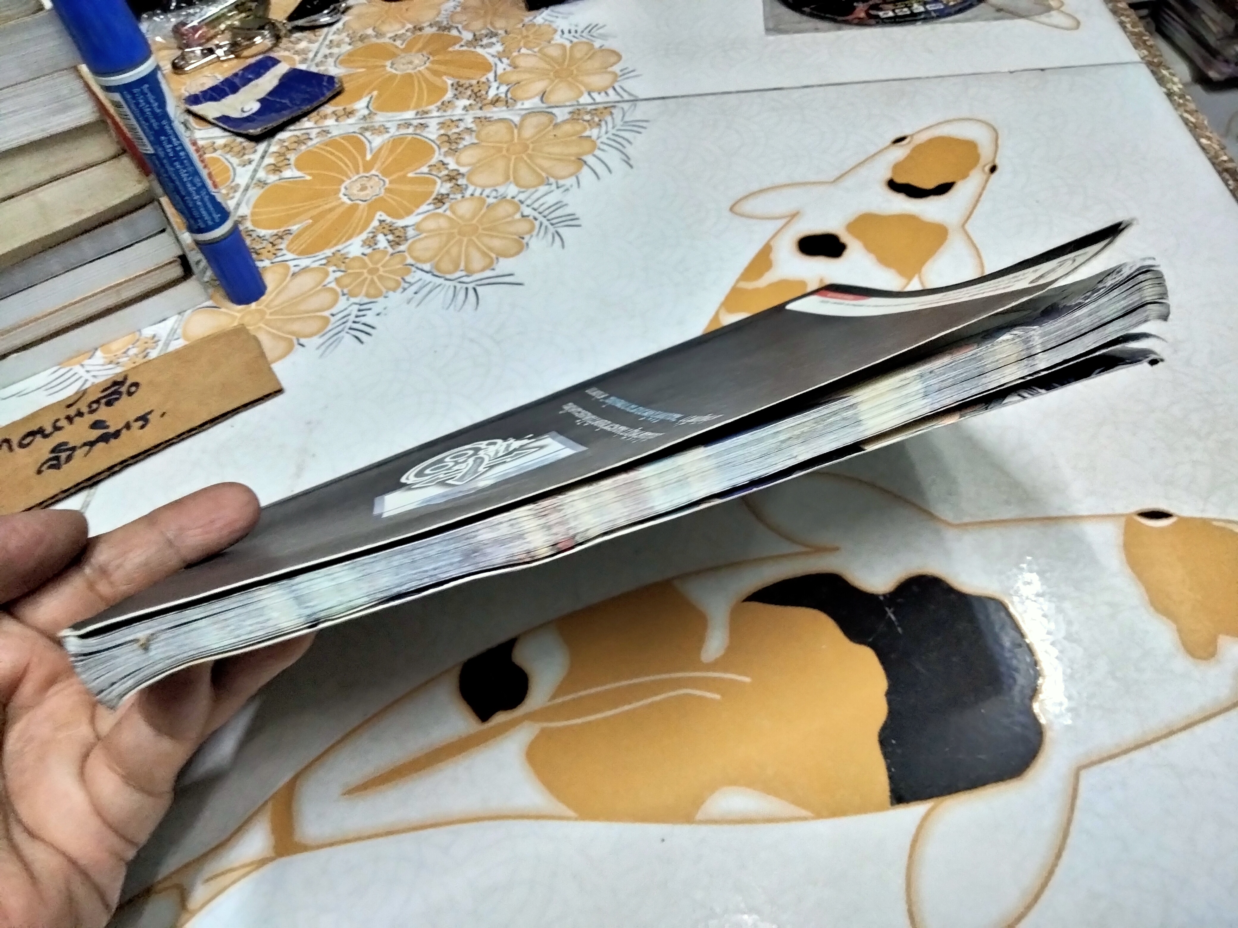 Xcrosz อิ๊กคิว