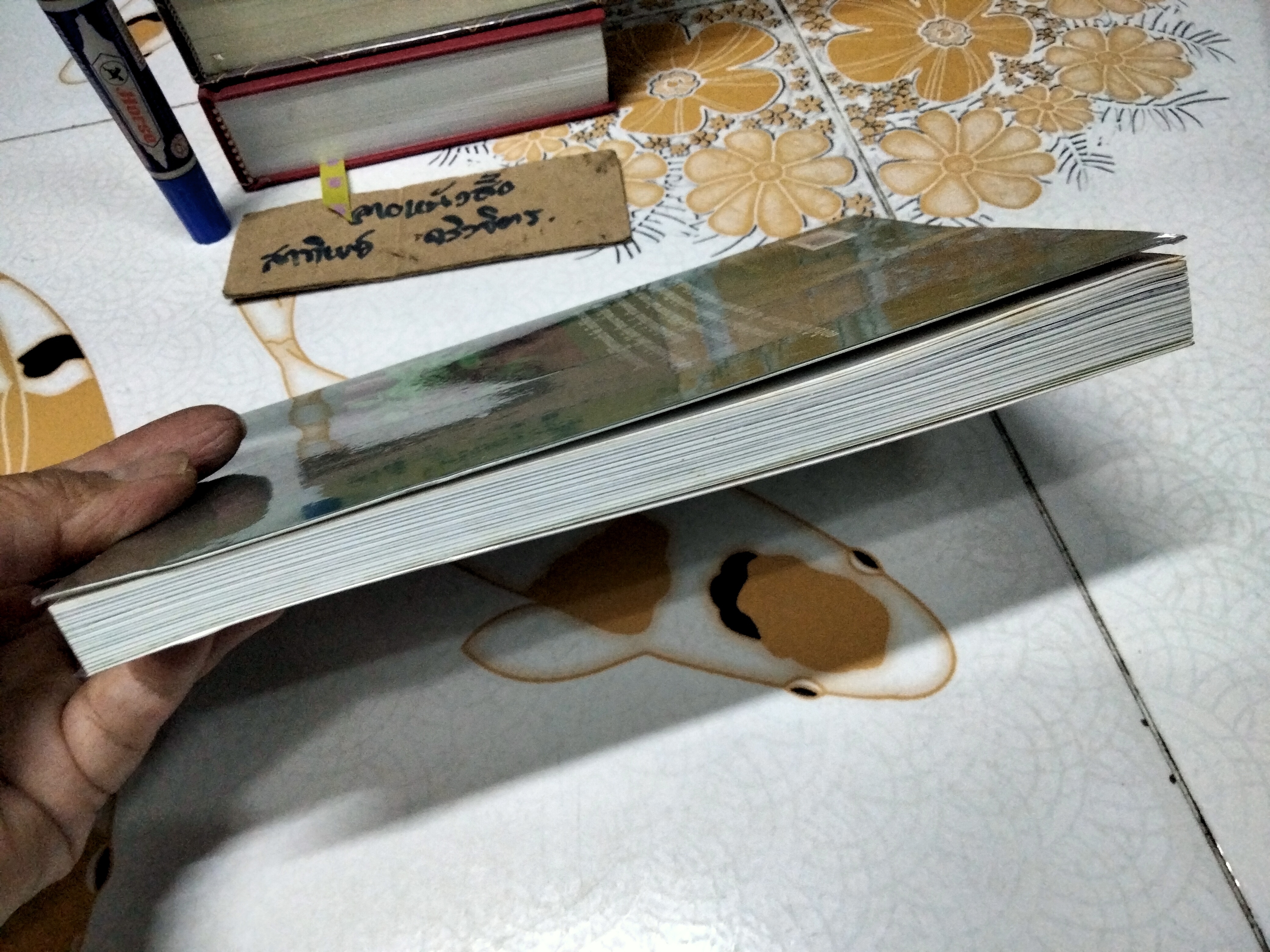 วิธีชนะทุกข์ เพื่อสร้างสุขให้ตนเอง ฉบับครอบครัว โดย ปริญญา ตันสกุล (หนังสือโดนน้ำ)