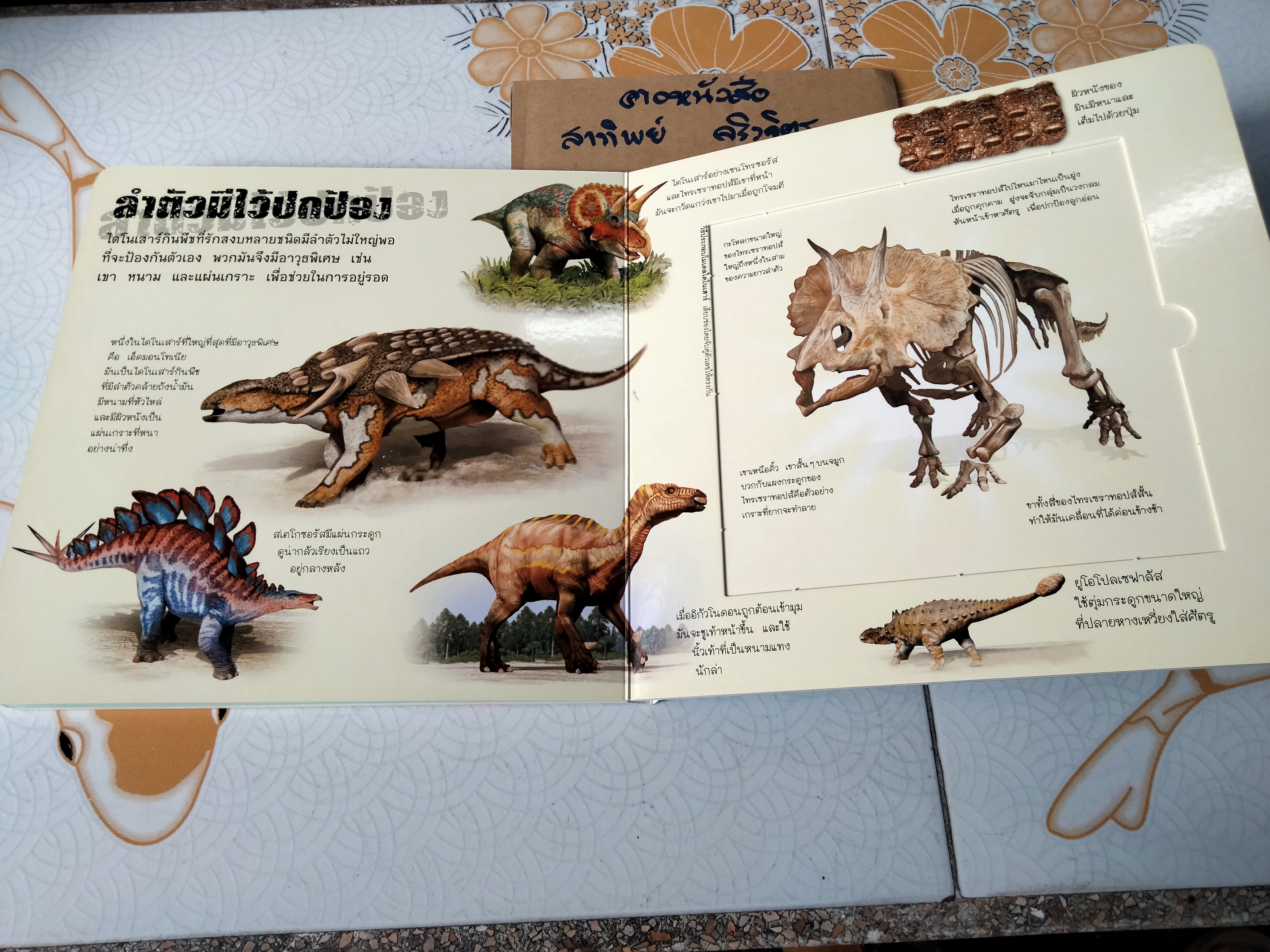 ประกอบร่างไดโนเสาร์ (บอร์ดบุ๊ค กระดาษแข็ง) **ไม่มีโมเดลไดโนเสาร์แล้ว
