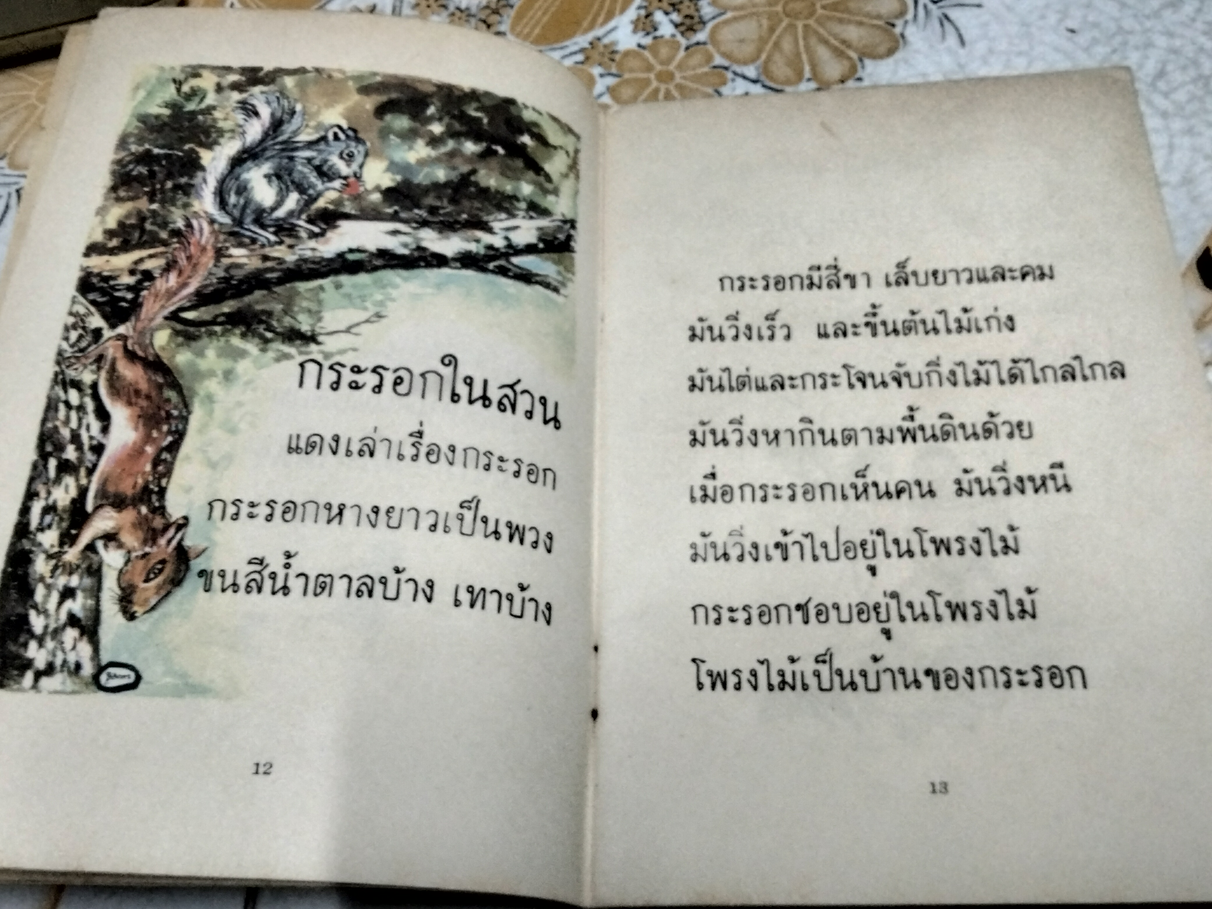 หนังสือแบบเรียนเก่า - แบบสอนอ่านวิทยาศาสตร์เบื้องต้น เรื่อง สัตว์ที่เรารู้จัก ชั้นประถมปีที่ 1 ของ กระทรวงศึกษาธิการ พิมพ์ครั้งที่ 7 พ.ศ 2513 **สินค้าหมด**