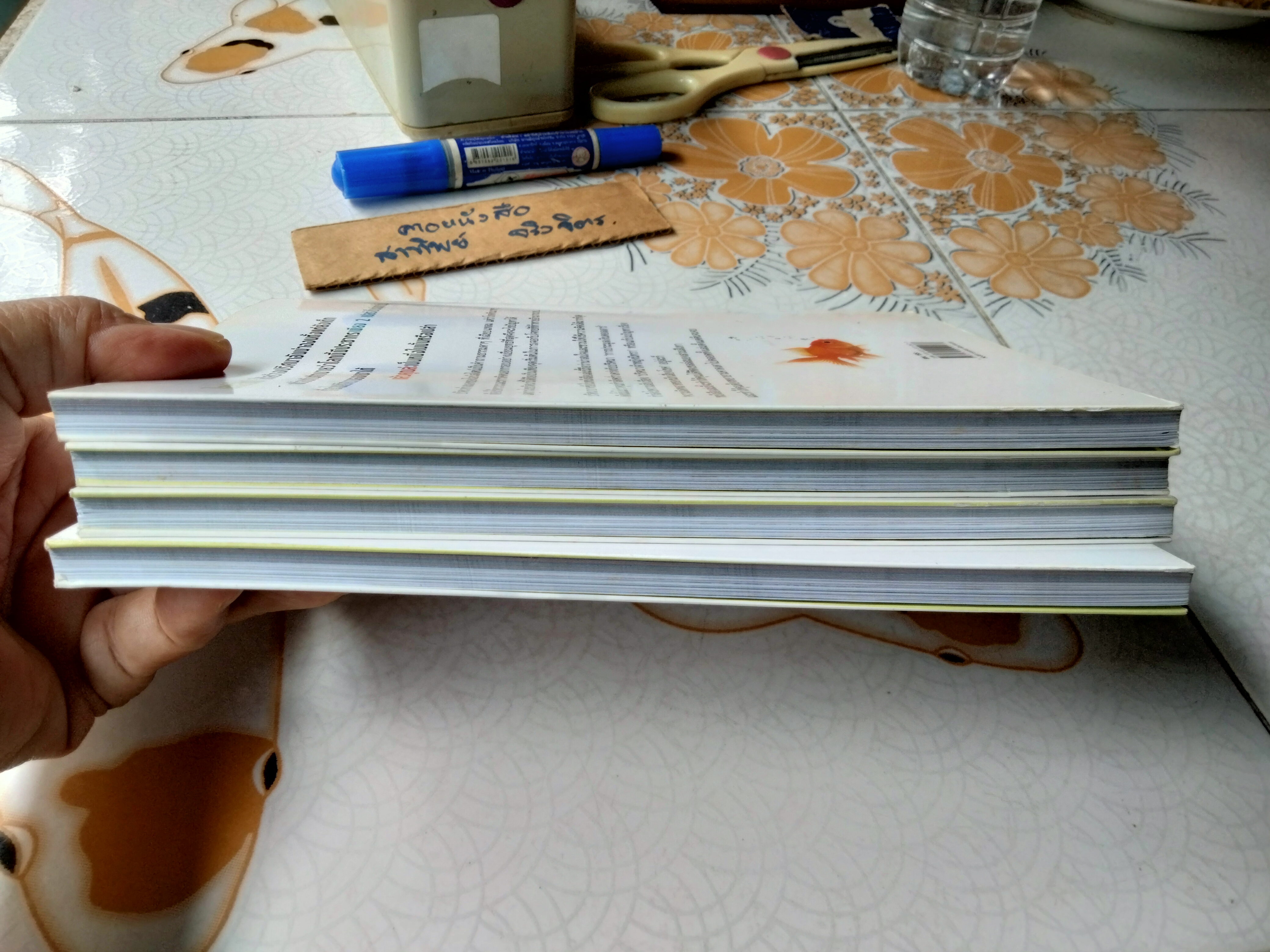 EINSTEIN'S RIDDLE ไขสุดยอดปริศนาปัญหาระดับโลก - เจเรมี สแตงรูม เขียน - รัชนี เอนกพีระศักดิ์ แปล