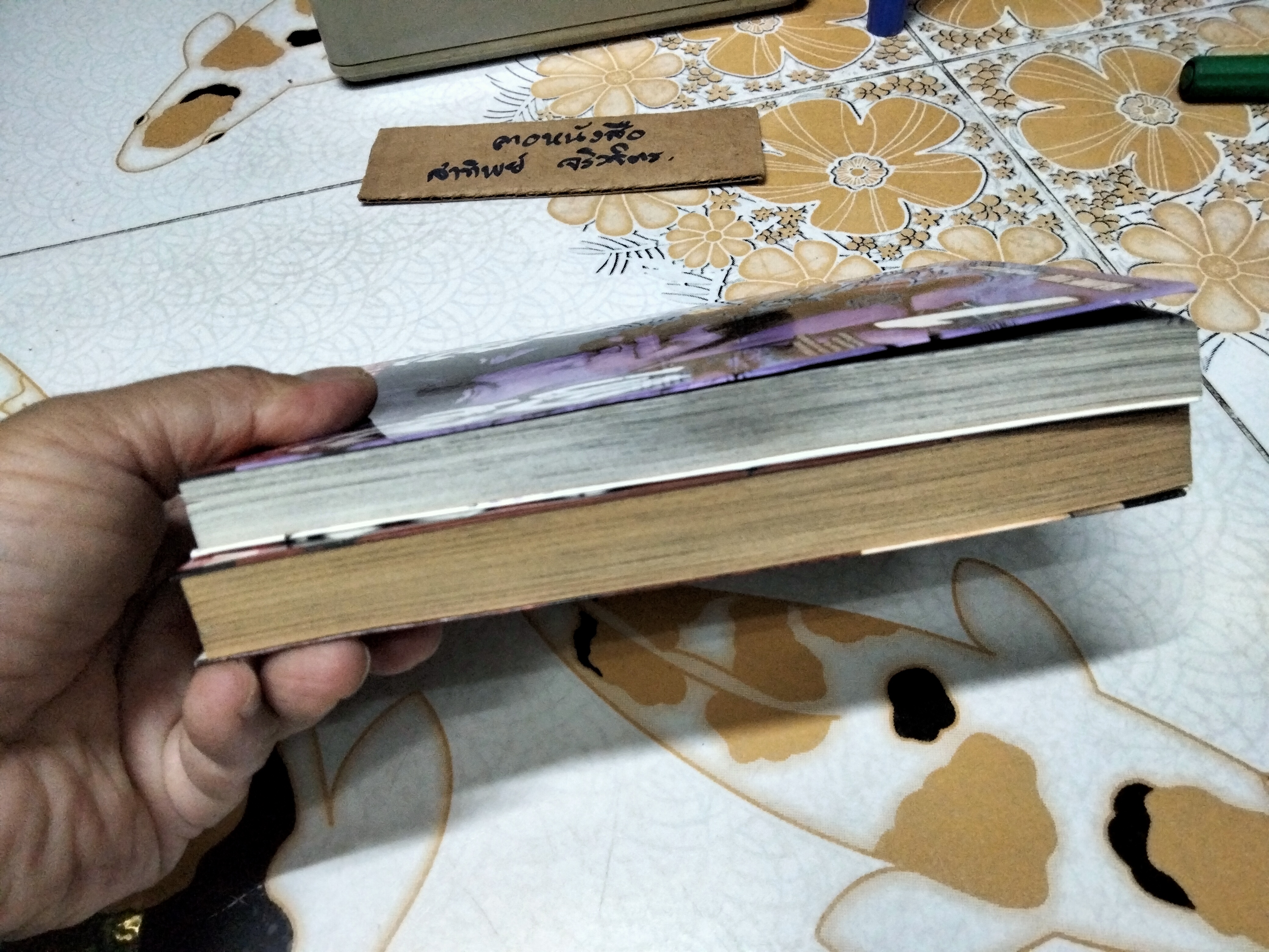 ลินดาลินดา อีกา ภาคเสริม (ครบชุด 2 เล่มจบ) Hiroshi Takahashi เขียน