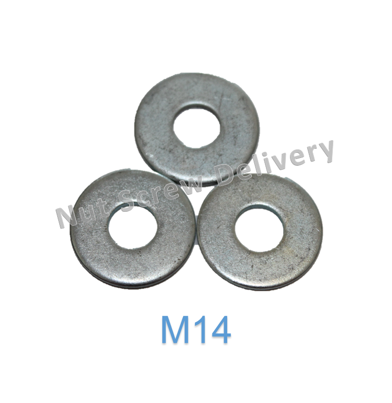 แหวนอีแปะมิลขาว M14