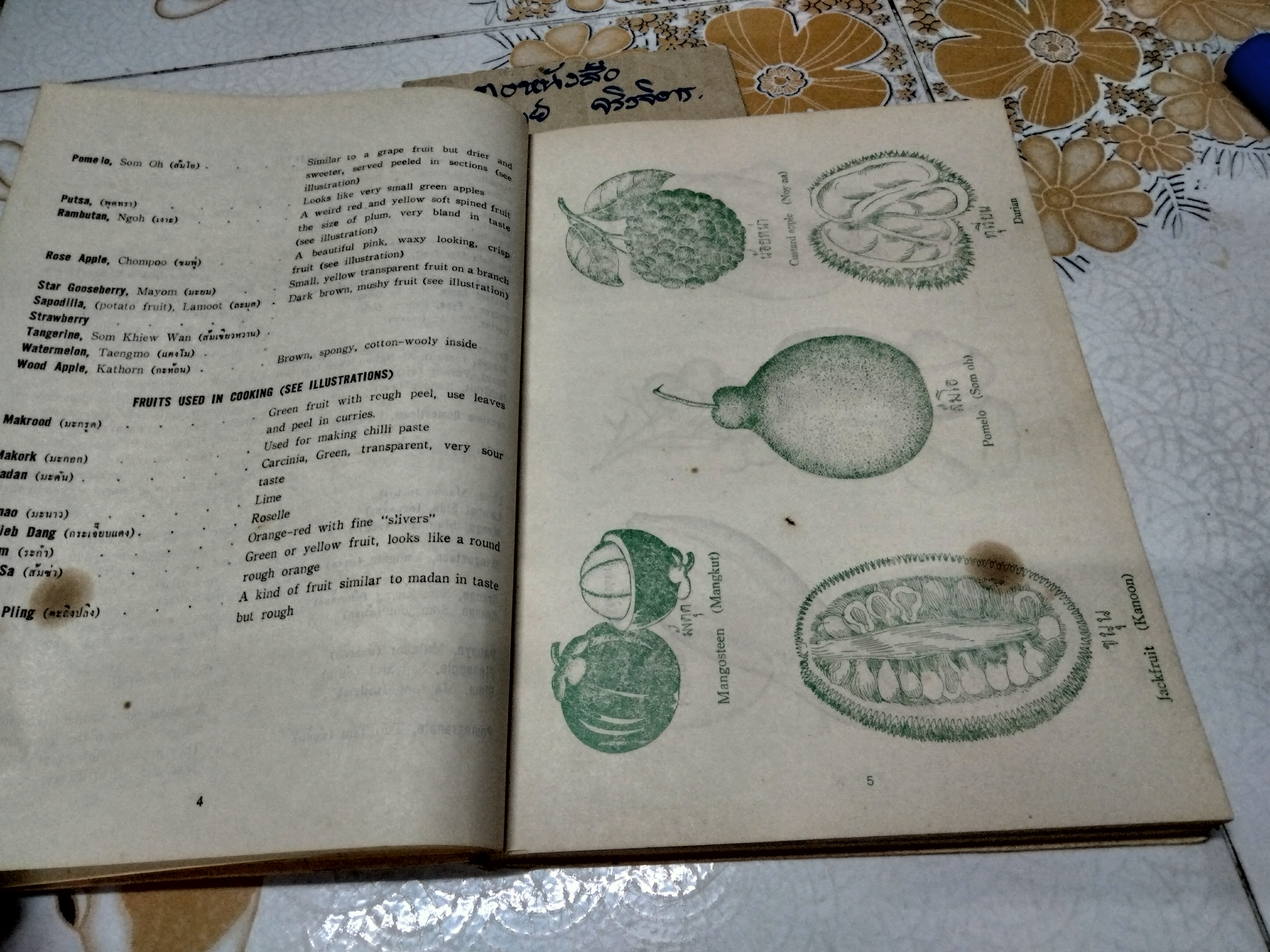 Y.W.C.A Cook book Bangkok , 1976 Lingual English/Thai Cookbook หนังสือสองภาษา อังกฤษ-ไทย **สินค้าหมด**