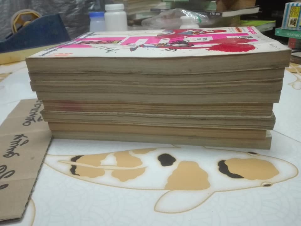 HEN ภาค ยามาดะ โยชิดะ ครบชุด 8 เล่มจบ Hiroya Oku เขียน **สินค้าหมด**