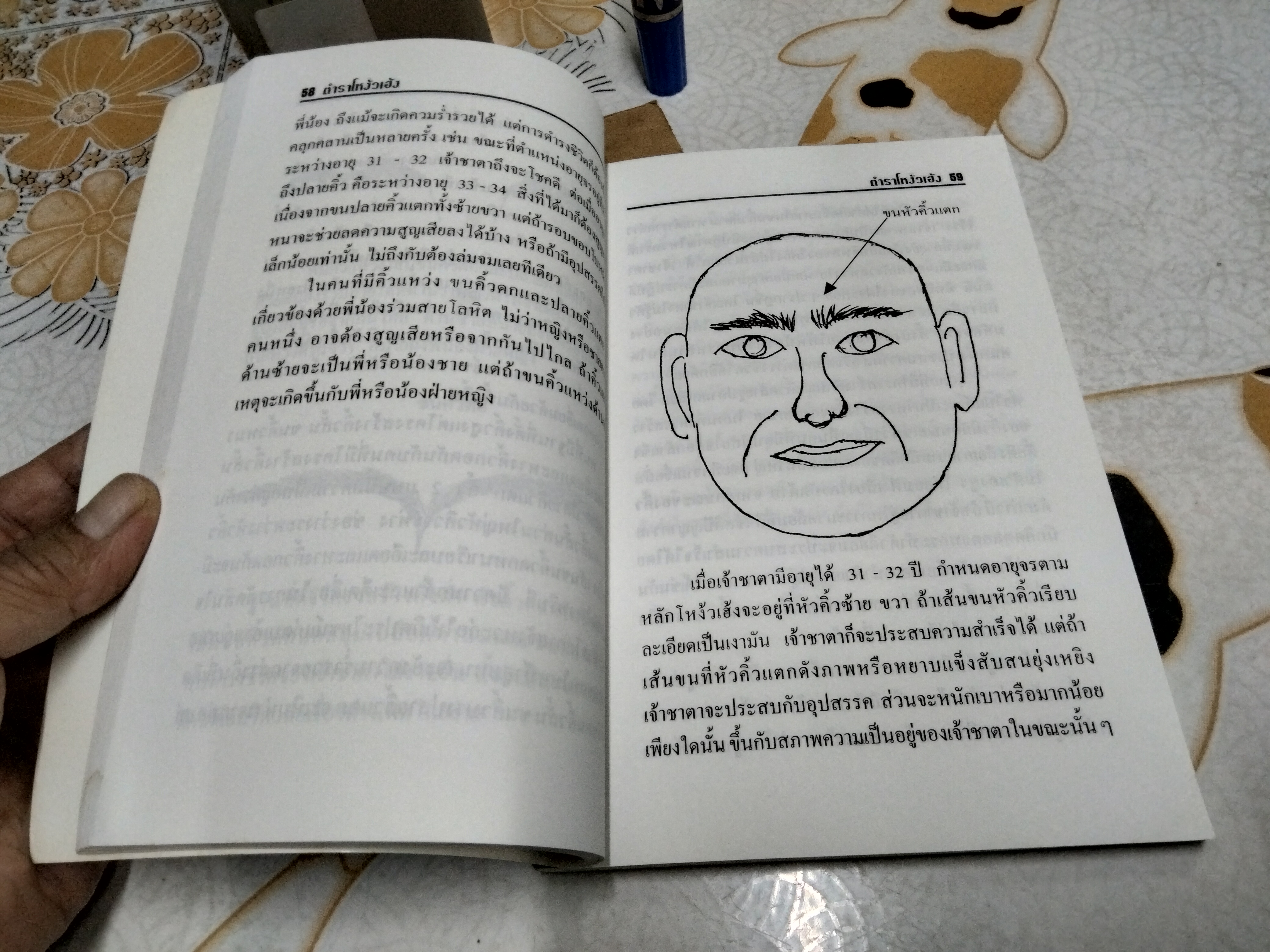 ตำนานโหงวเฮ้งกับธรรมชาติ อ.ชัย ตันอรรถนาวิน รวบรวมเรียบเรียง พิมพ์ปีพ.ศ 2541 **สินค้าหมด**