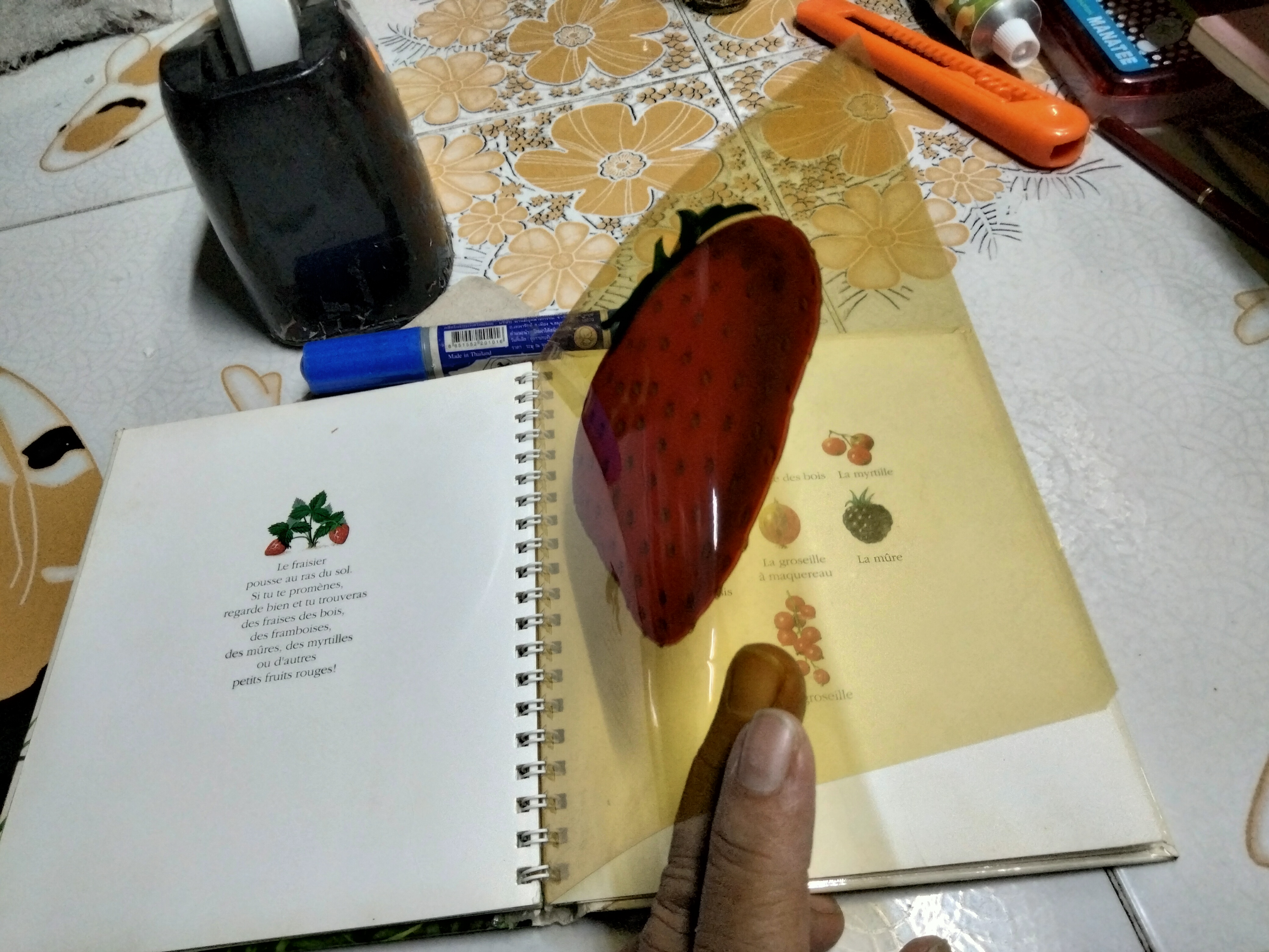 My First Discoveries Book - La pomme - ภาษาฝรั่งเศส (หนังสือจากห้องสมุด)