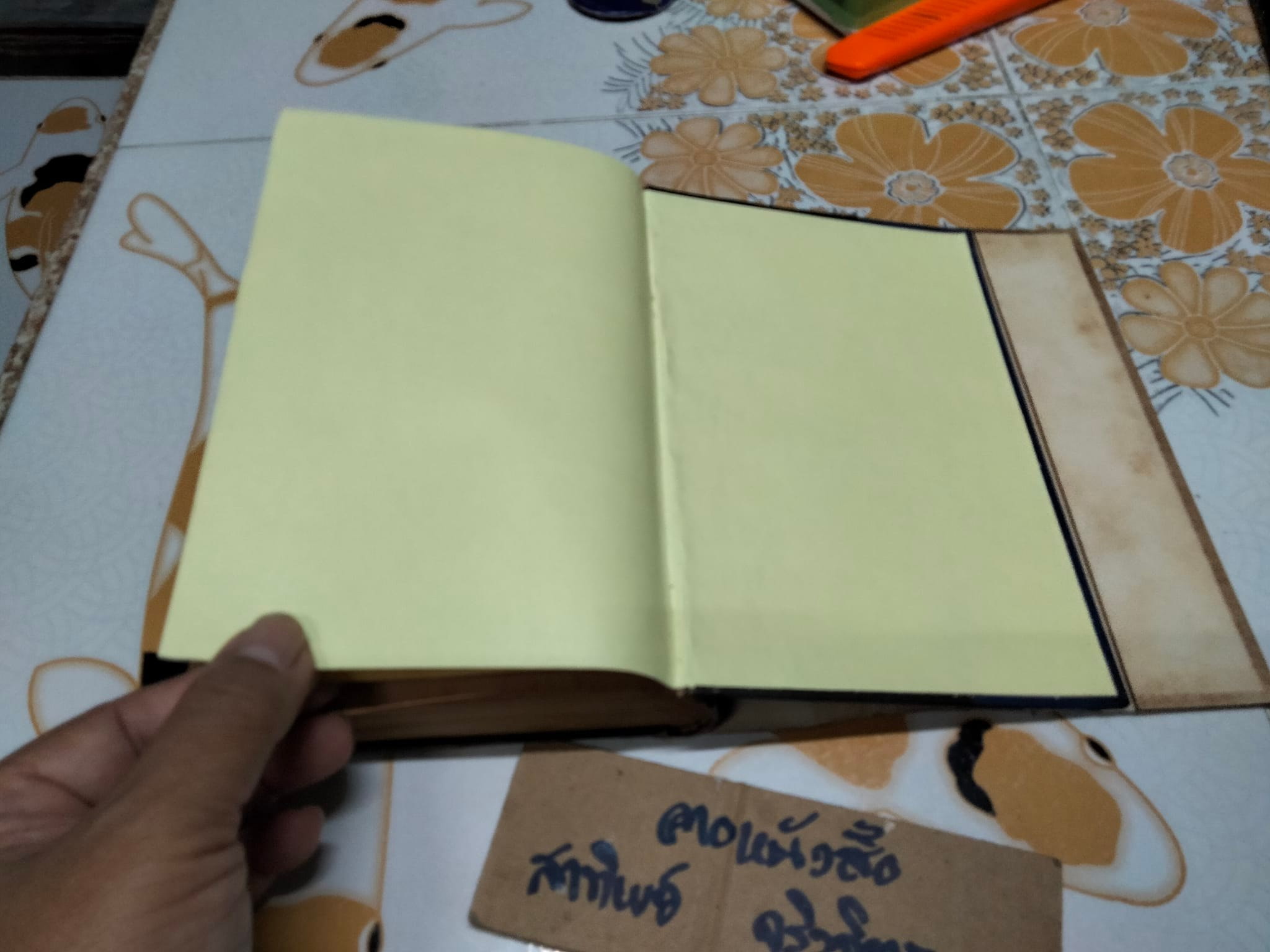 ฮิตเลอร์ จอมเผด็จการ โดย วิสันต์ บัณฑะวงศ์