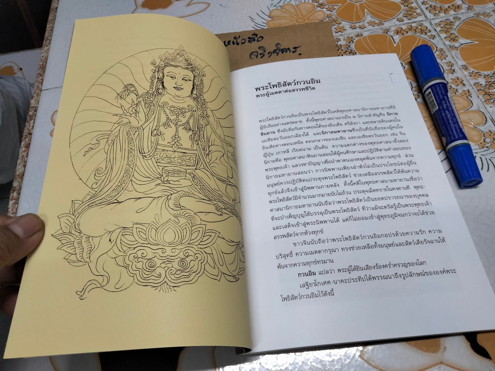 หนังสือ พระโพธิสัตว์กวนอิม ตำนานของพระโพธิสัตว์ผู้เปี่ยมด้วยความเมตตากรุณา โดย วิยะดา ทองมิตร , พรชัย เหมะรัต วาดภาพ (เป็นหนังสืออนุสรณ์งานศพฯ )